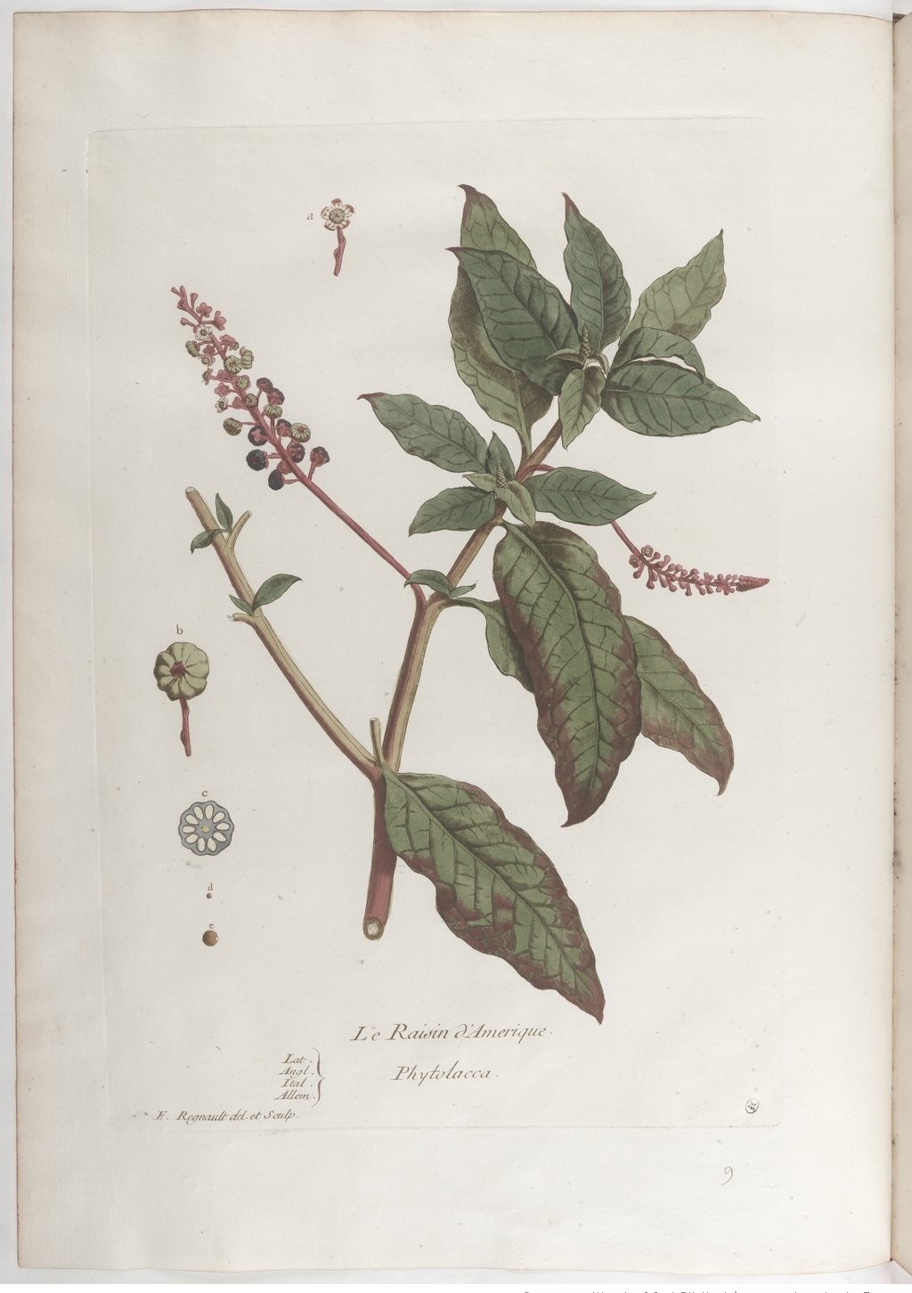 no full size  illustration available (3a)