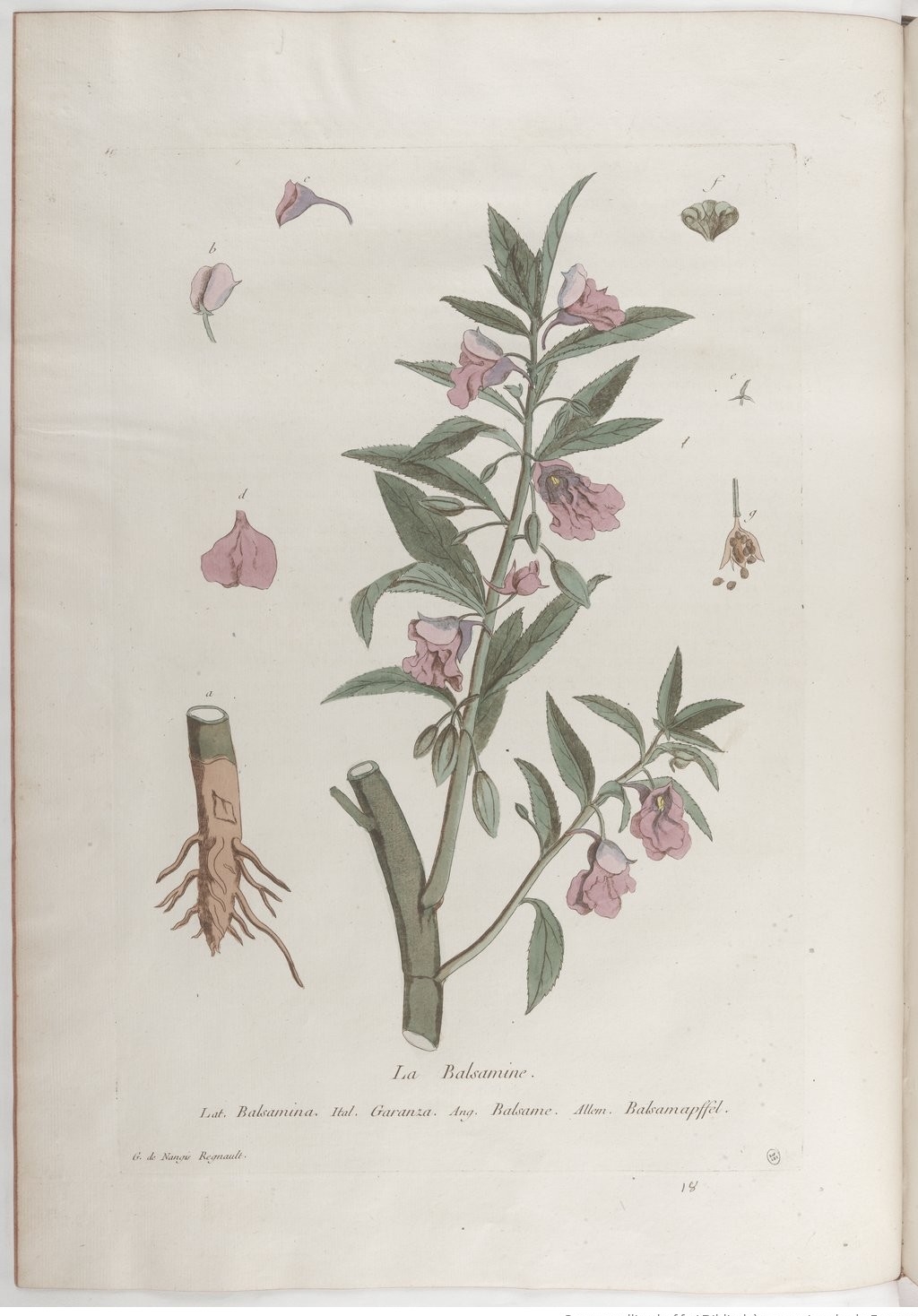 no full size  illustration available (3a)