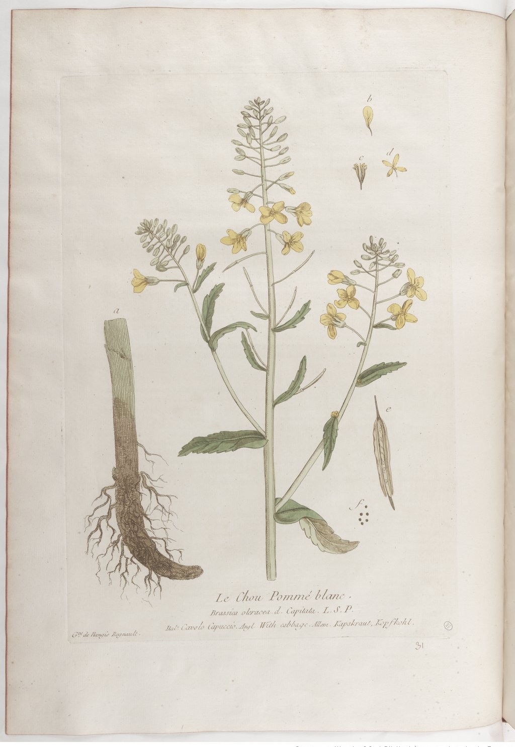 no full size  illustration available (3a)