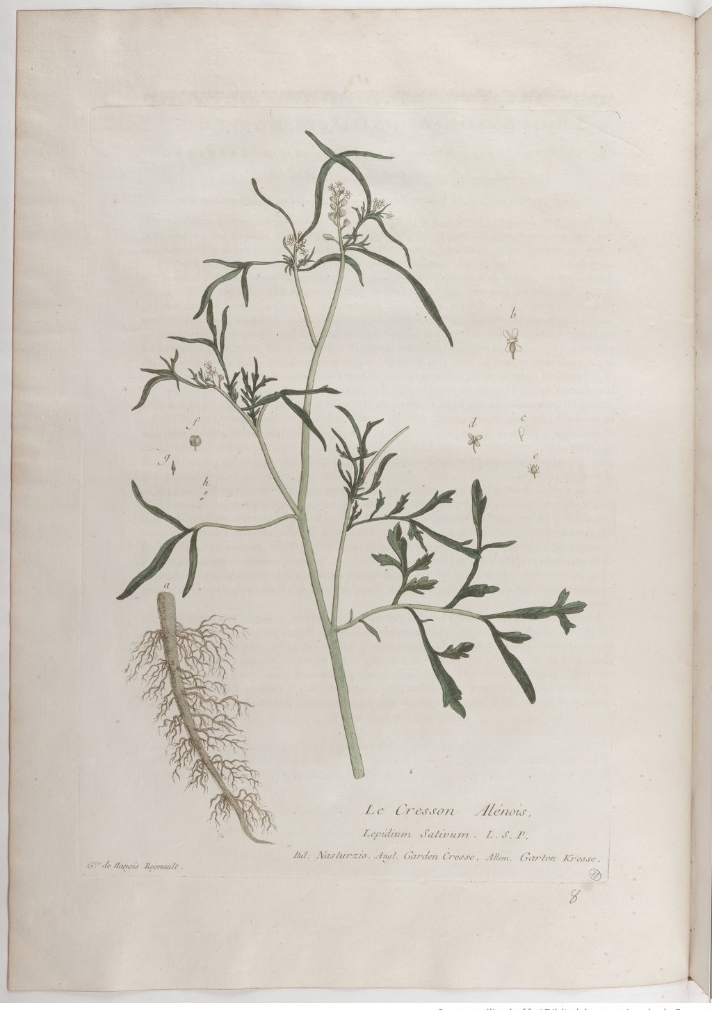 no full size  illustration available (3a)