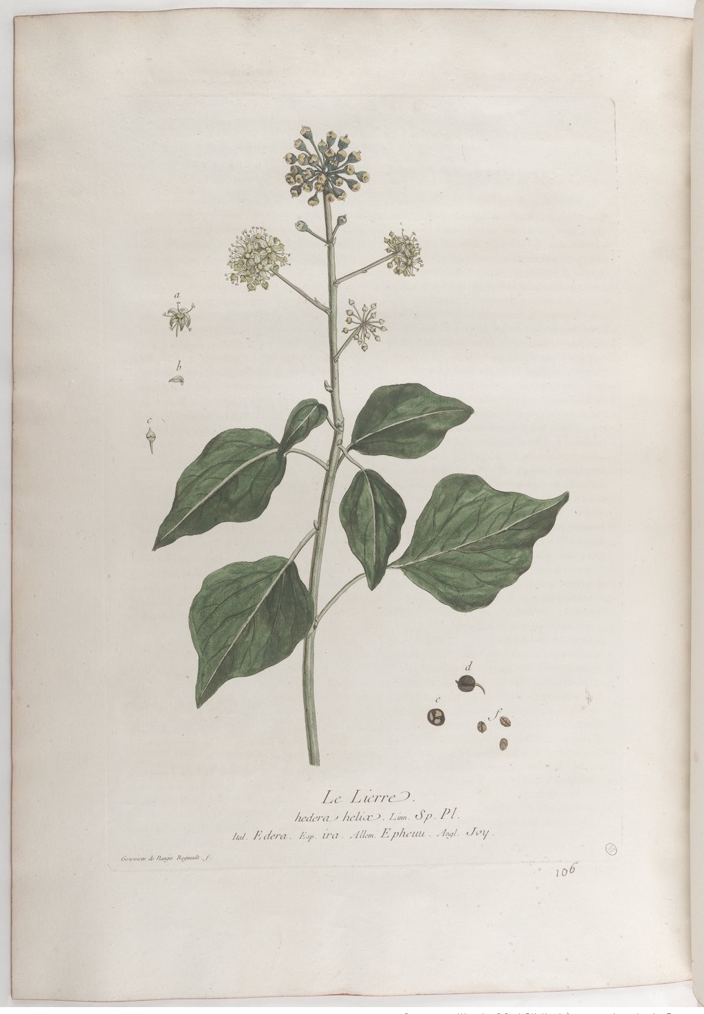 no full size  illustration available (3a)