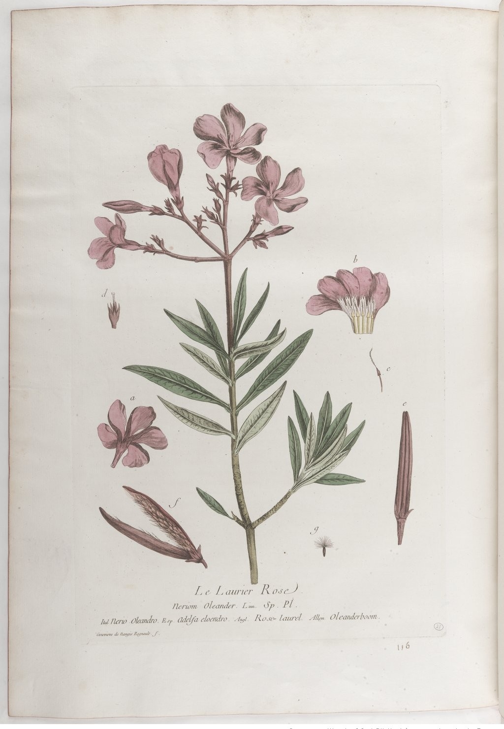 no full size  illustration available (3a)