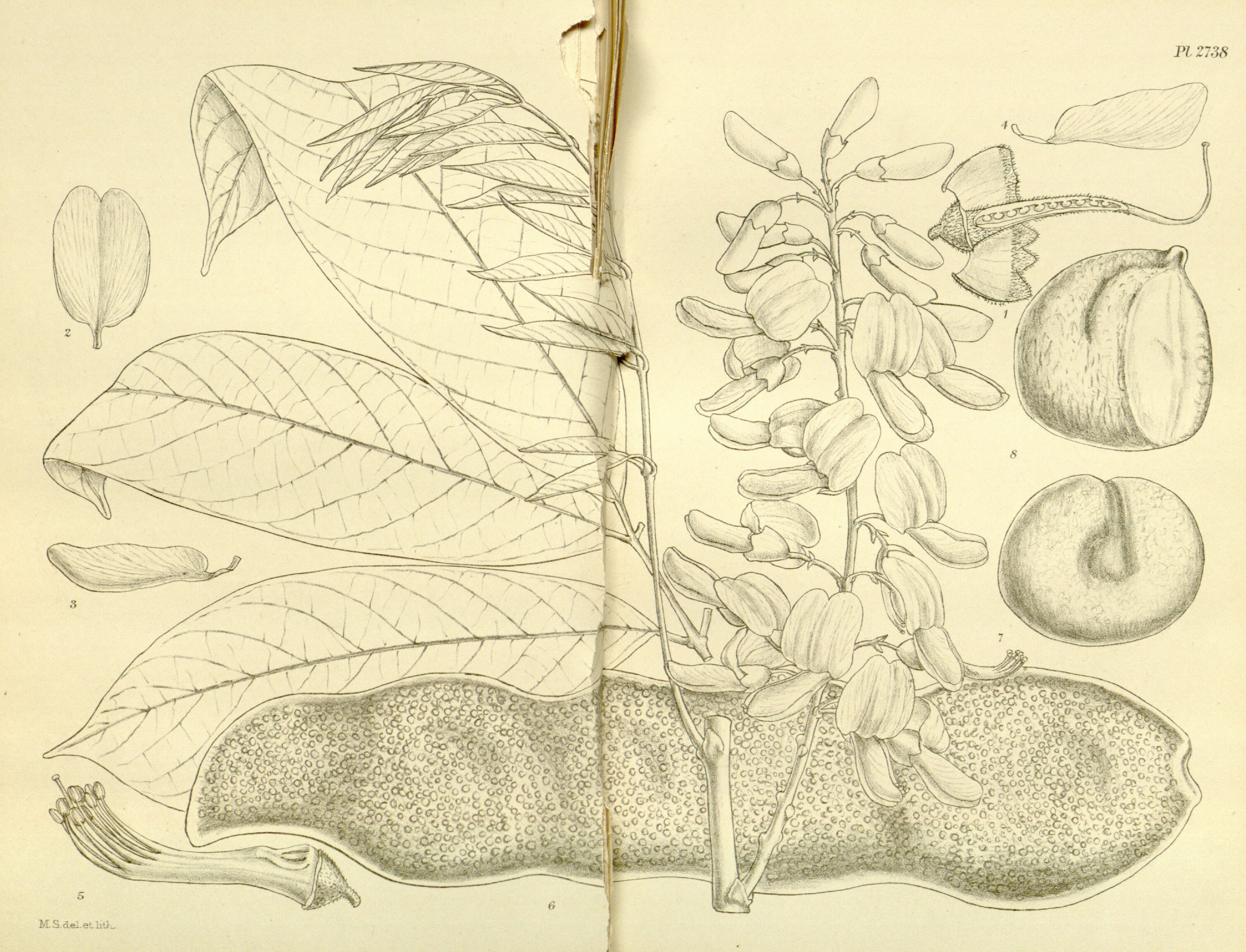 no full size  illustration available (3a)