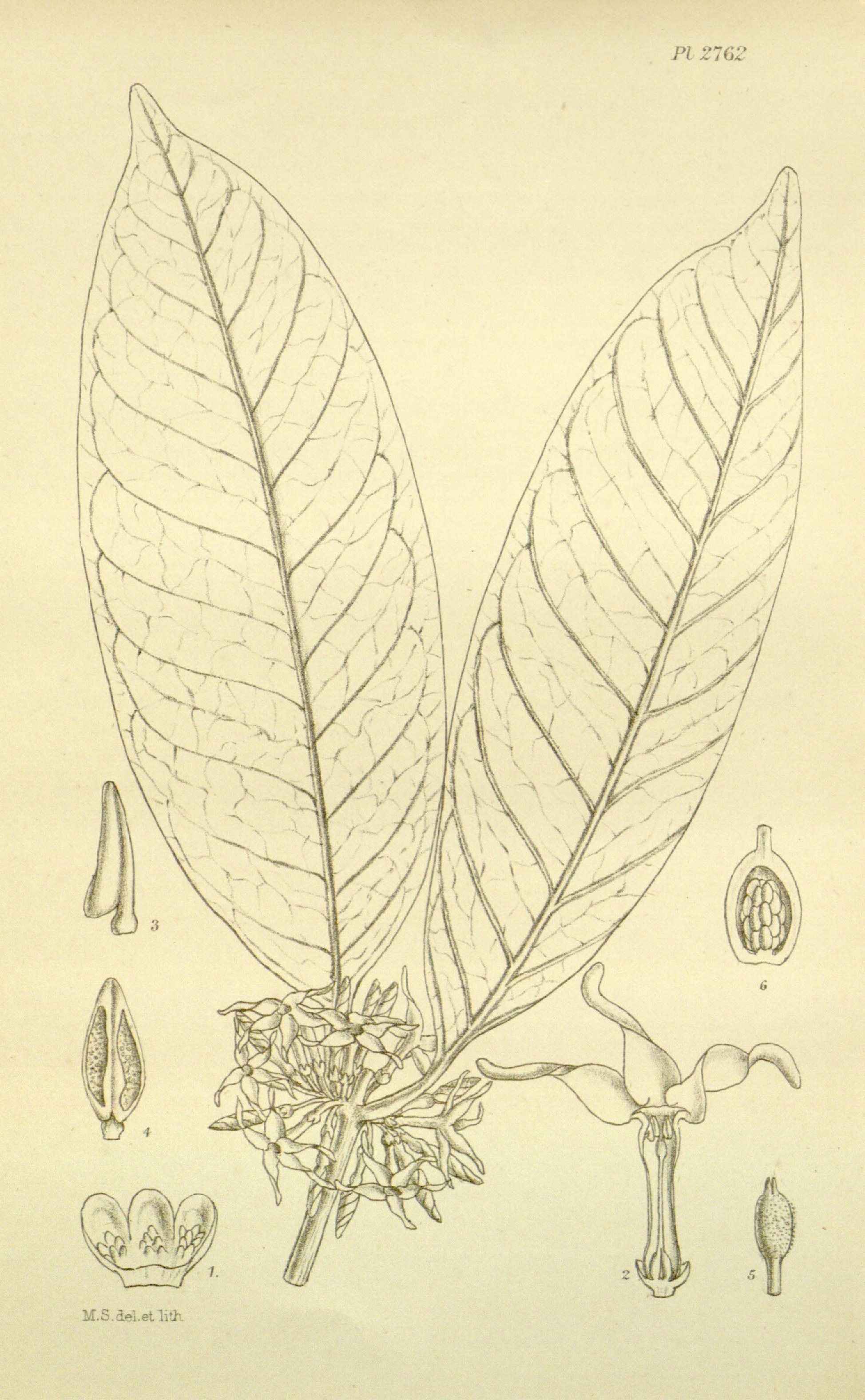 no full size  illustration available (3a)