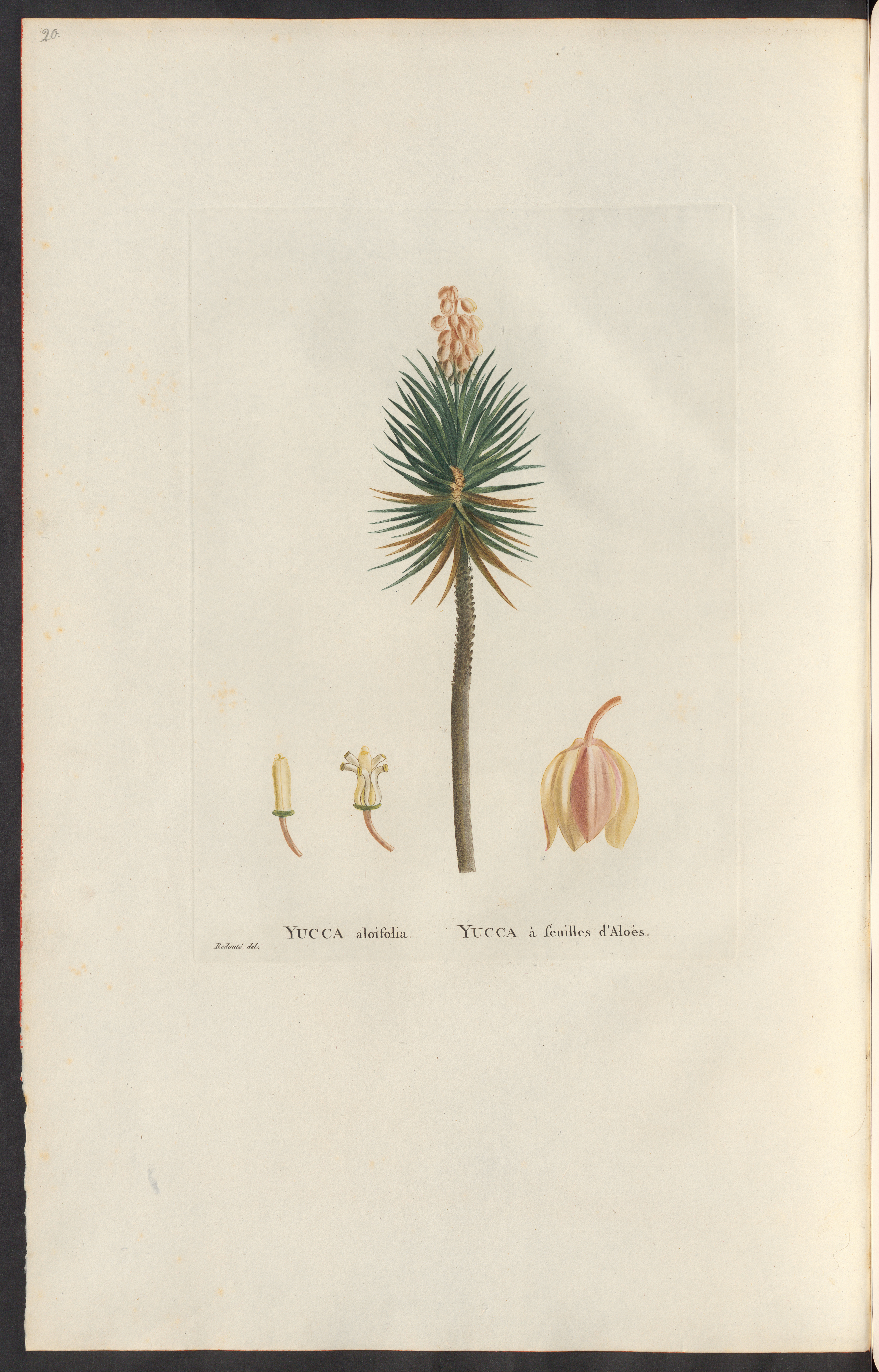 no full size  illustration available (3a)