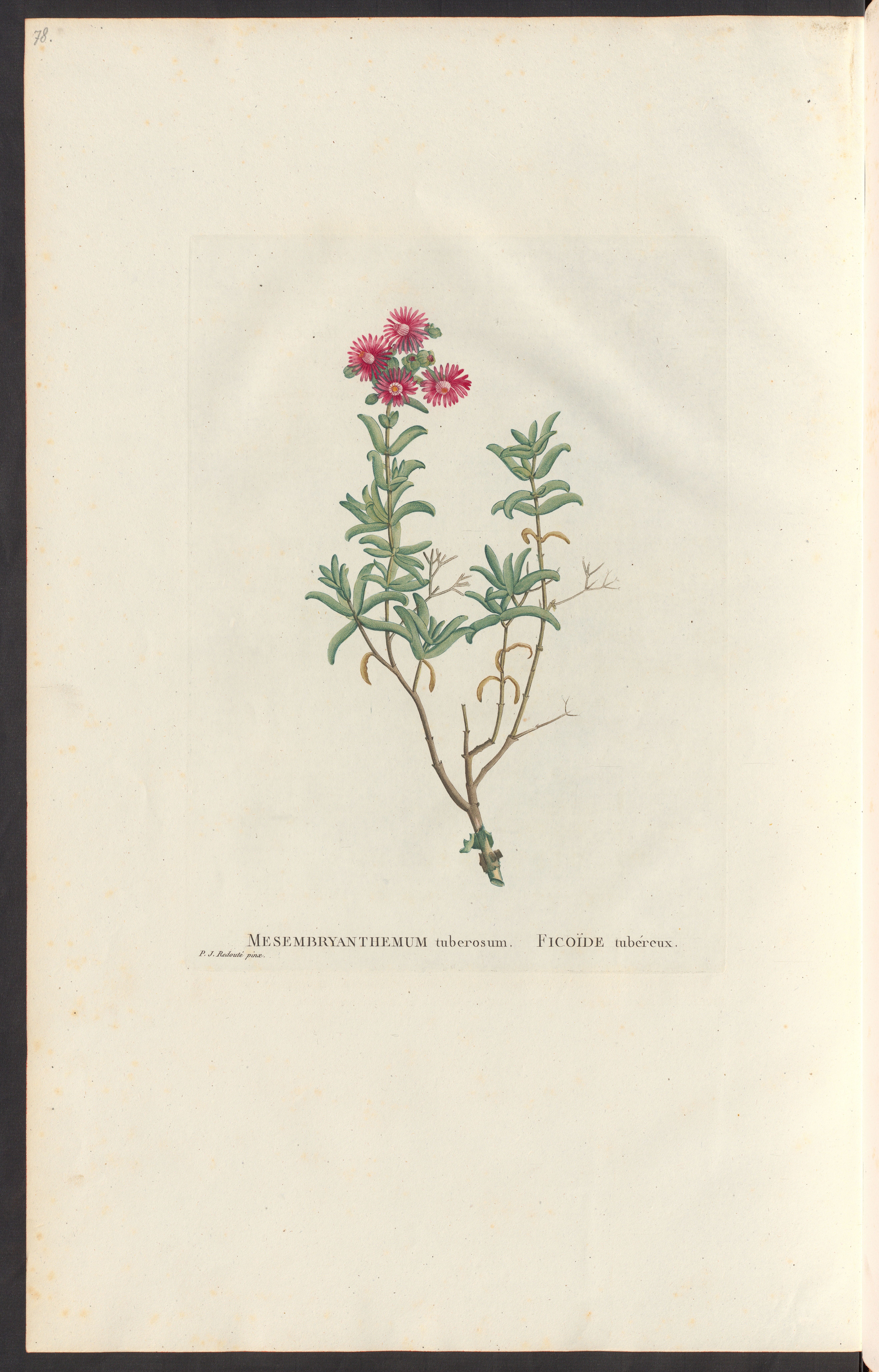 no full size  illustration available (3a)