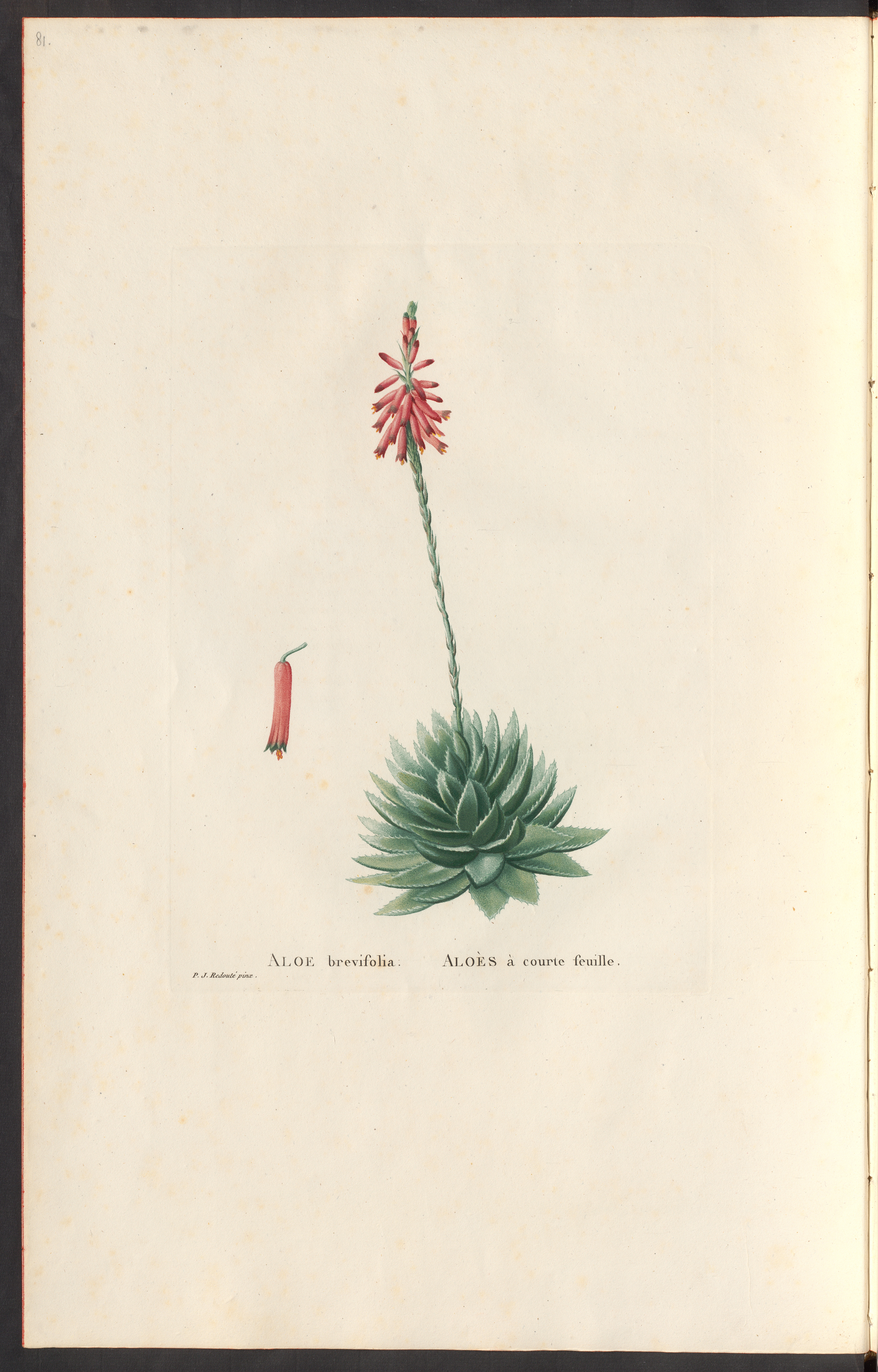 no full size  illustration available (3a)