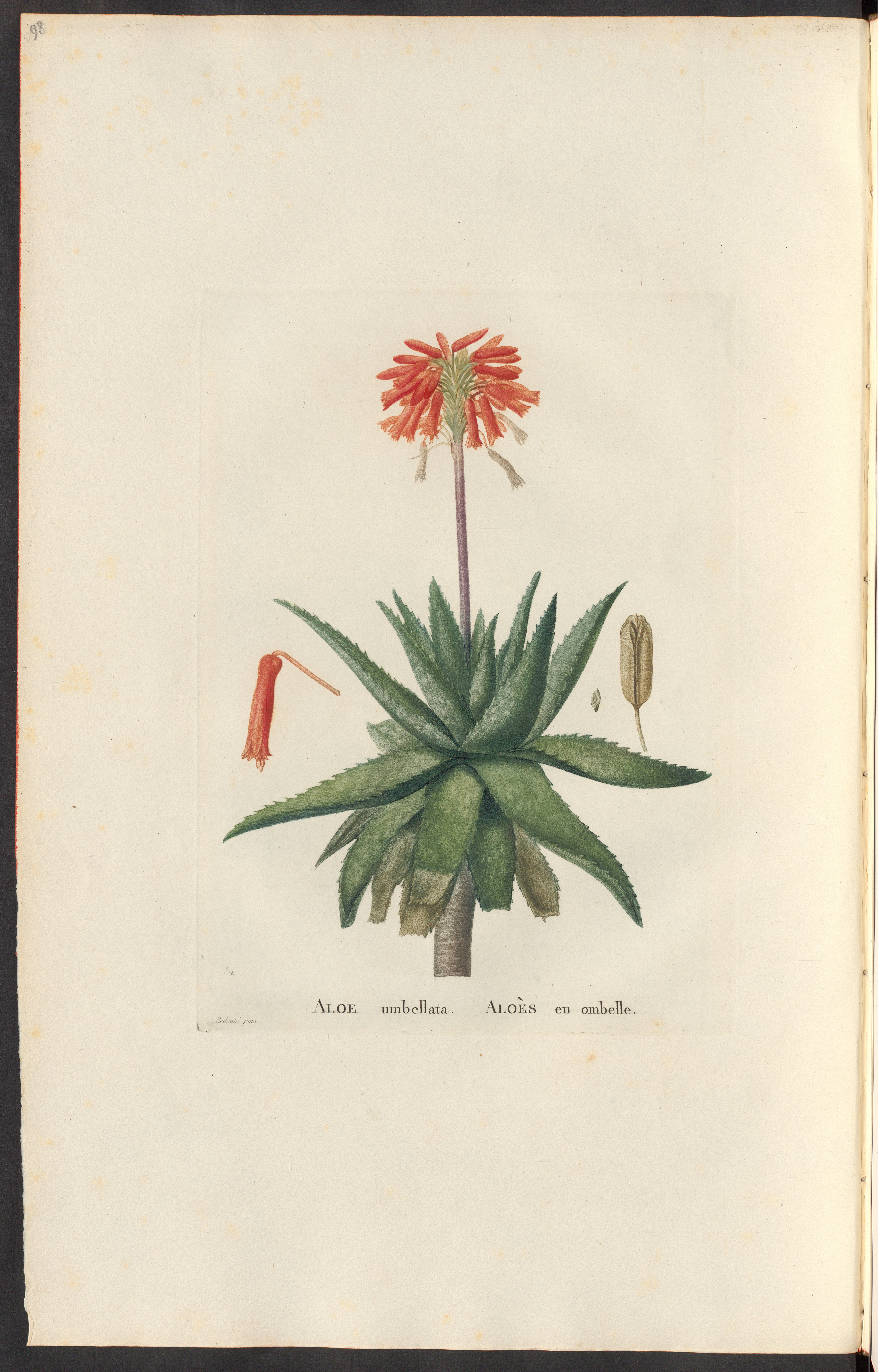 no full size  illustration available (3a)