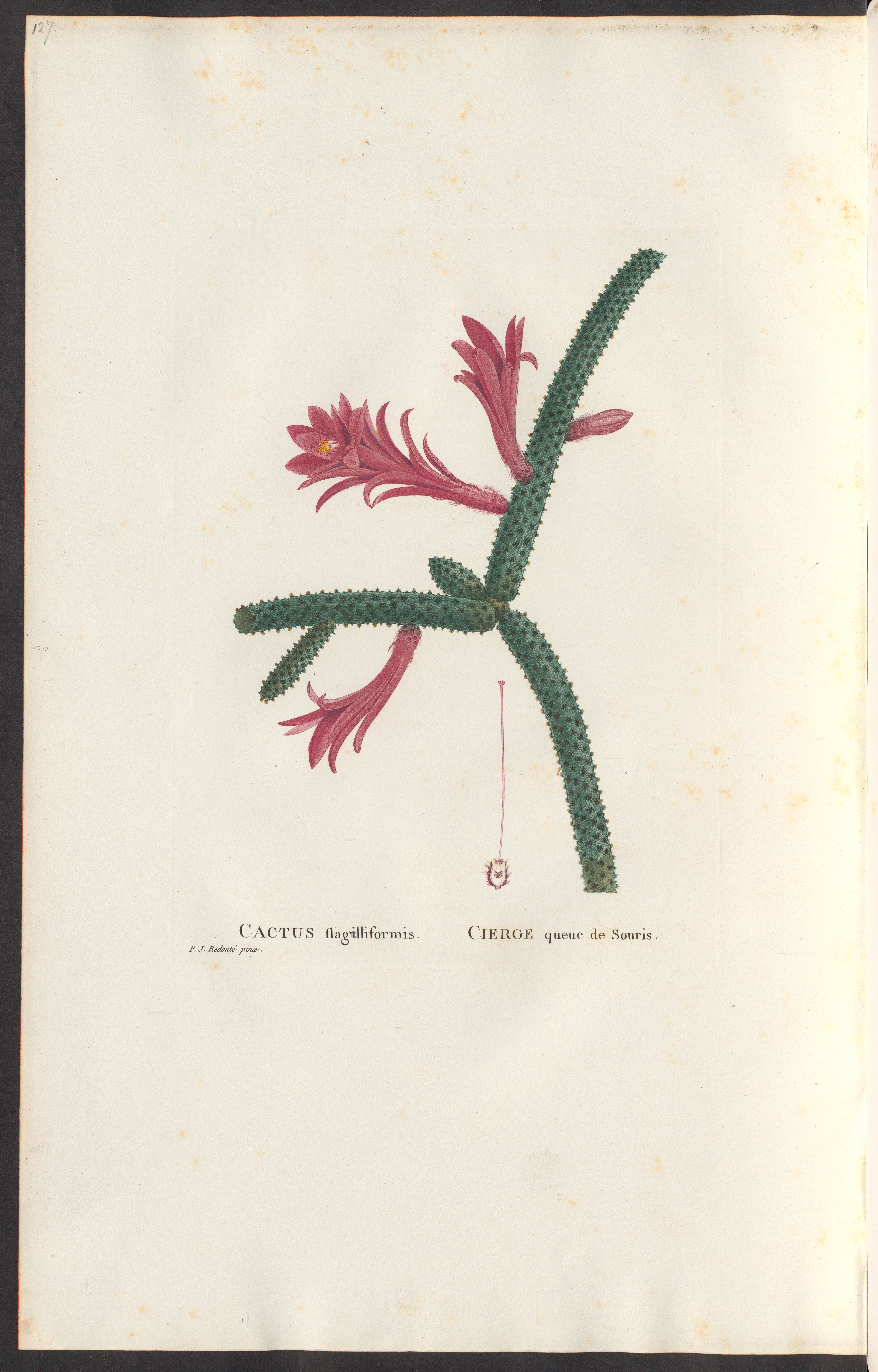 no full size  illustration available (3a)