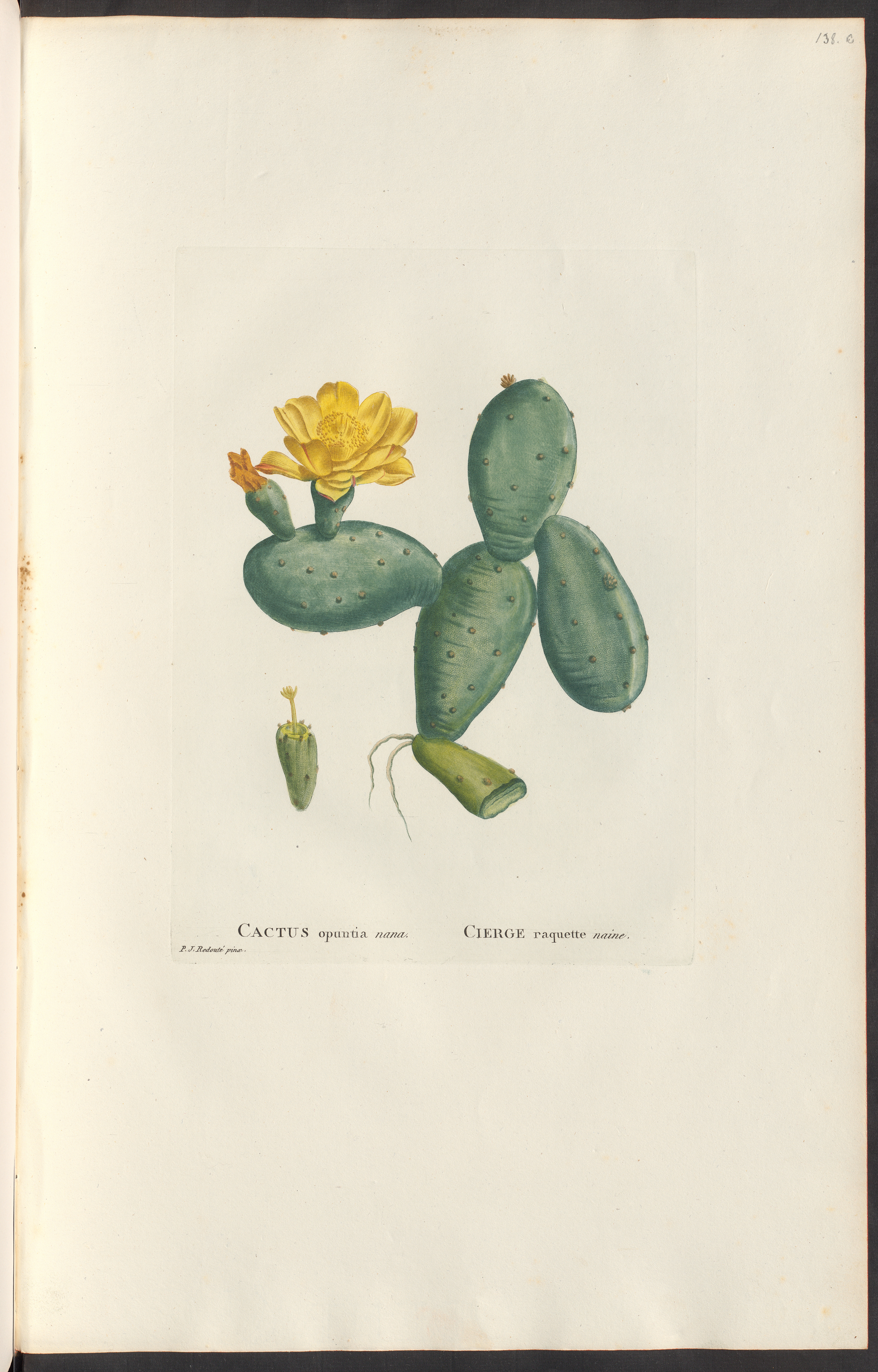 no full size  illustration available (3a)