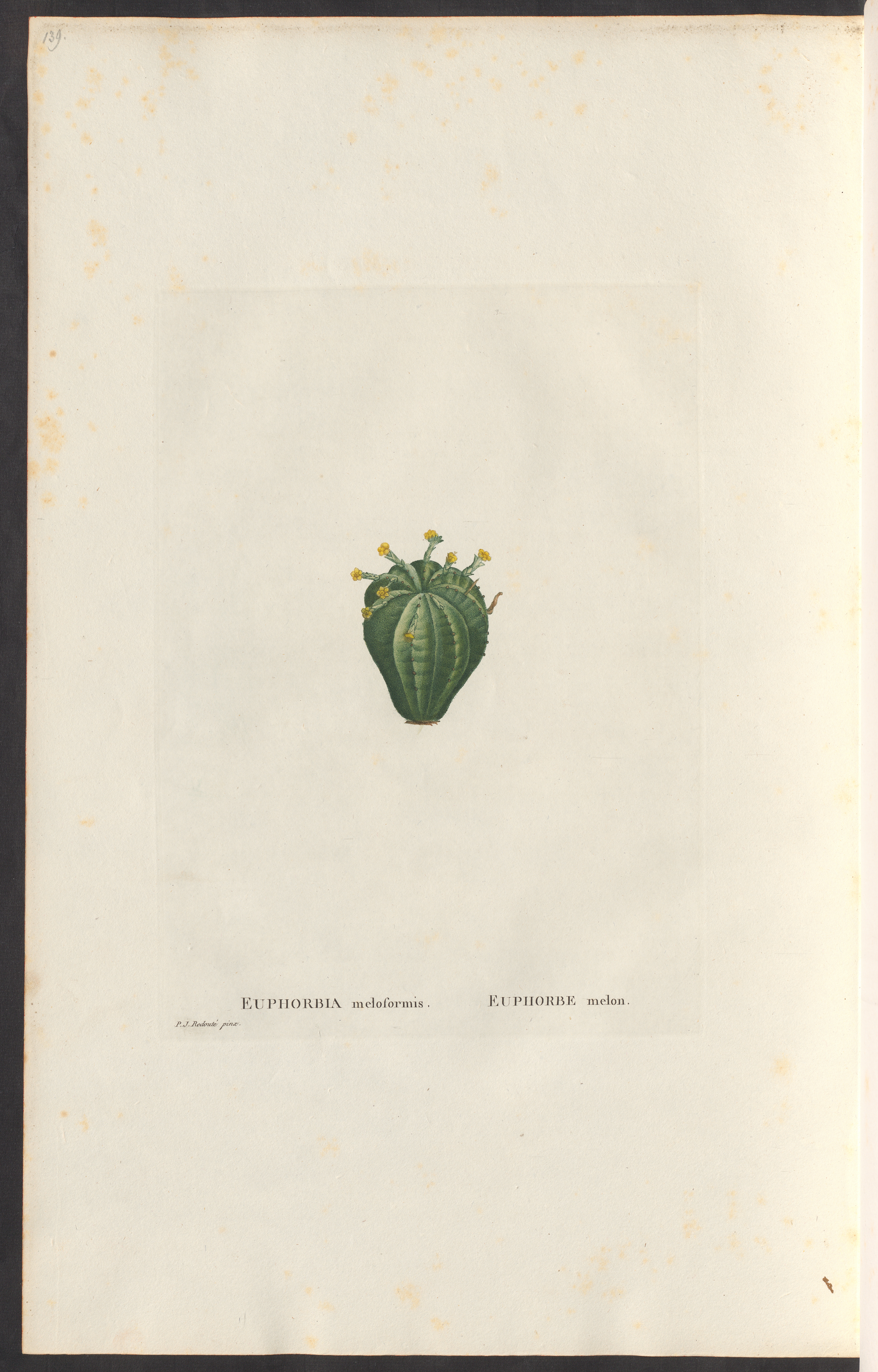 no full size  illustration available (3a)