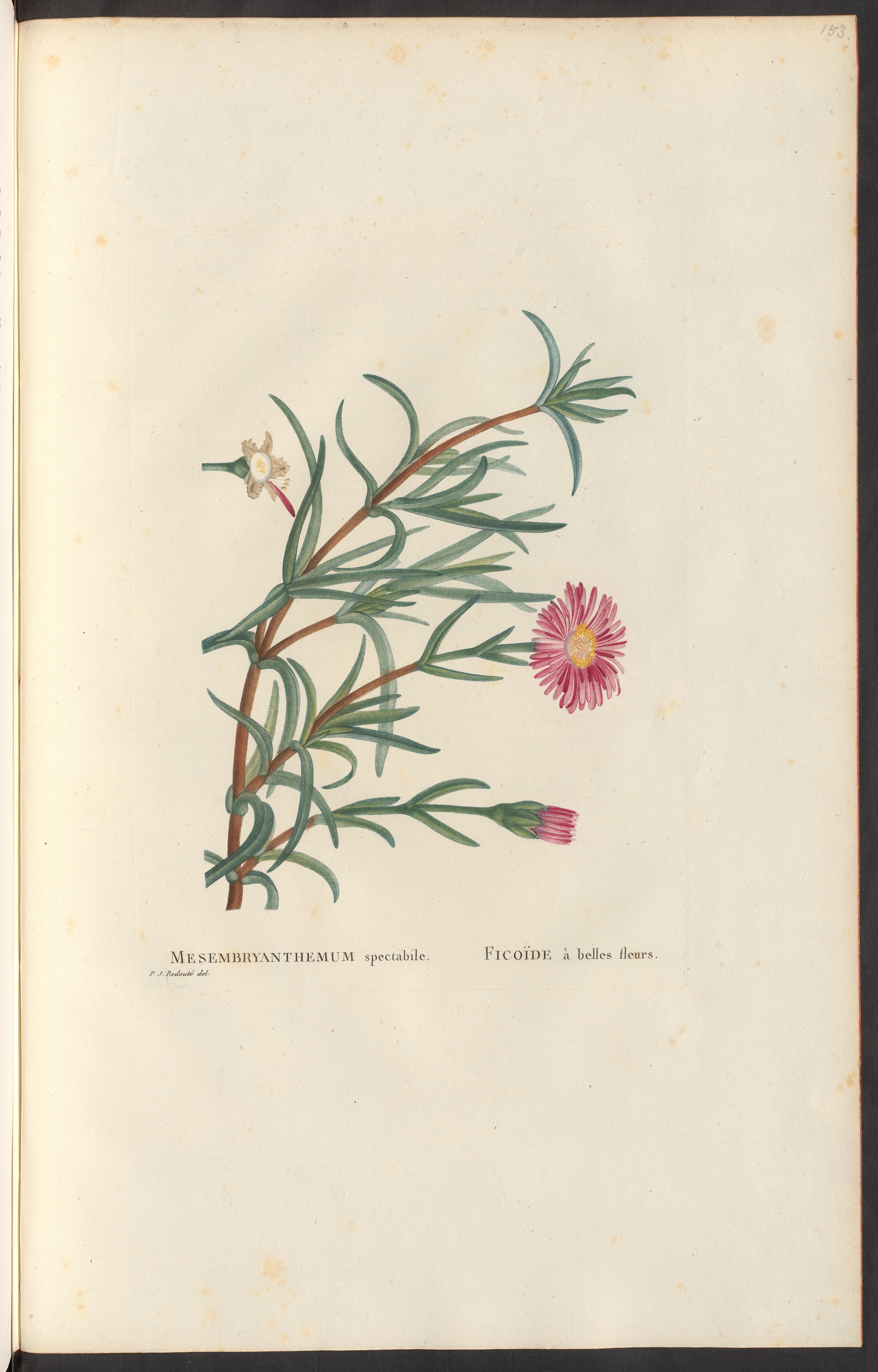 no full size  illustration available (3a)