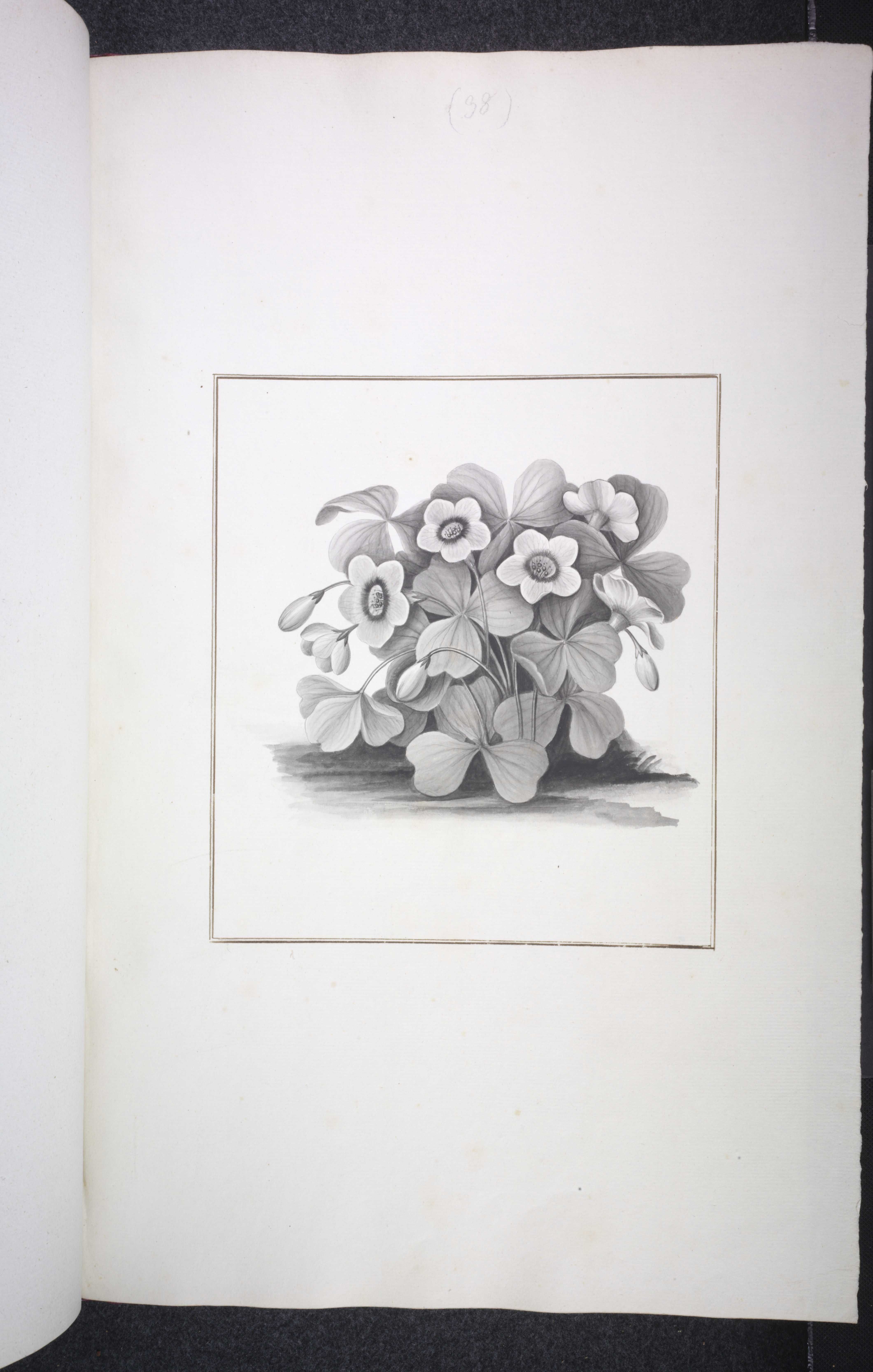 no full size  illustration available (3a)