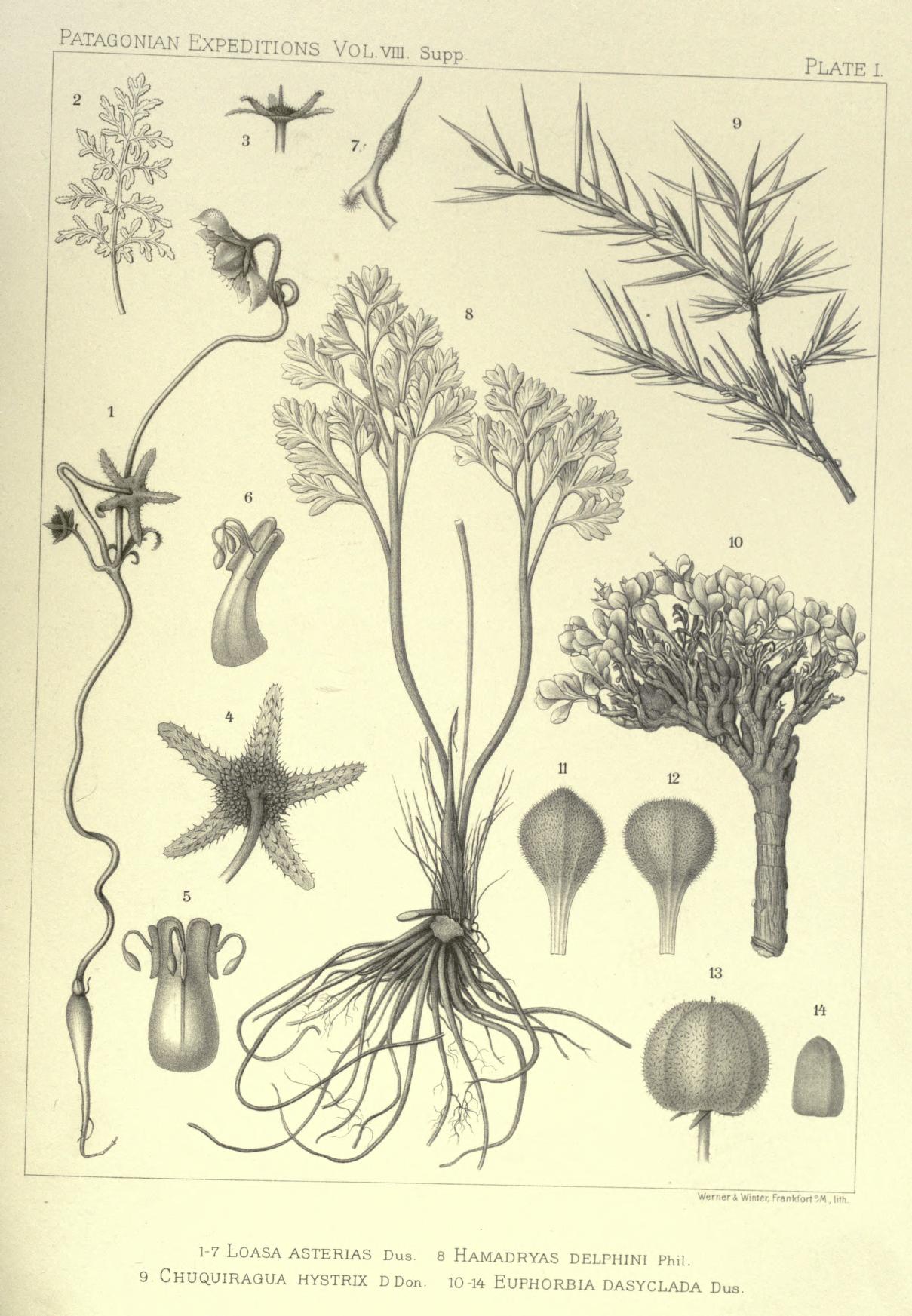 no full size  illustration available (3a)