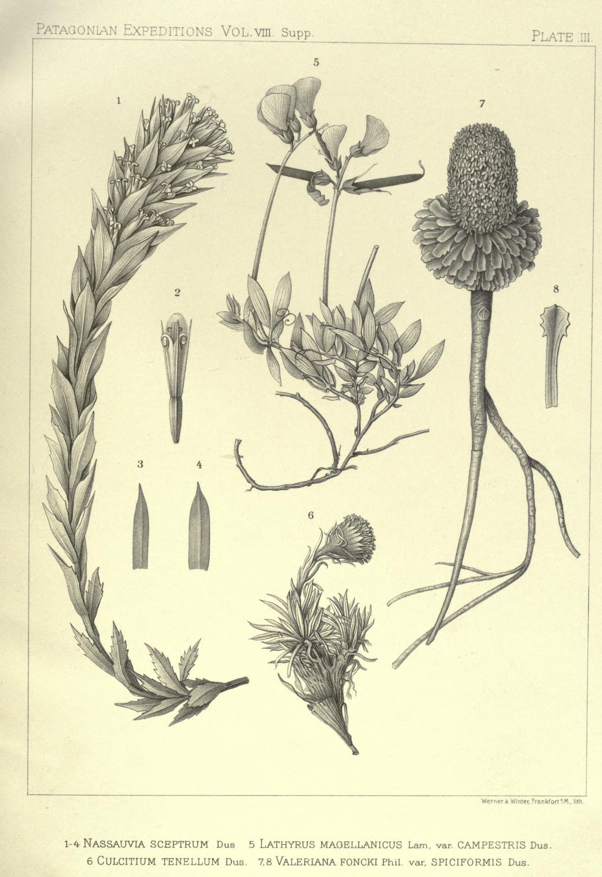 no full size  illustration available (3a)