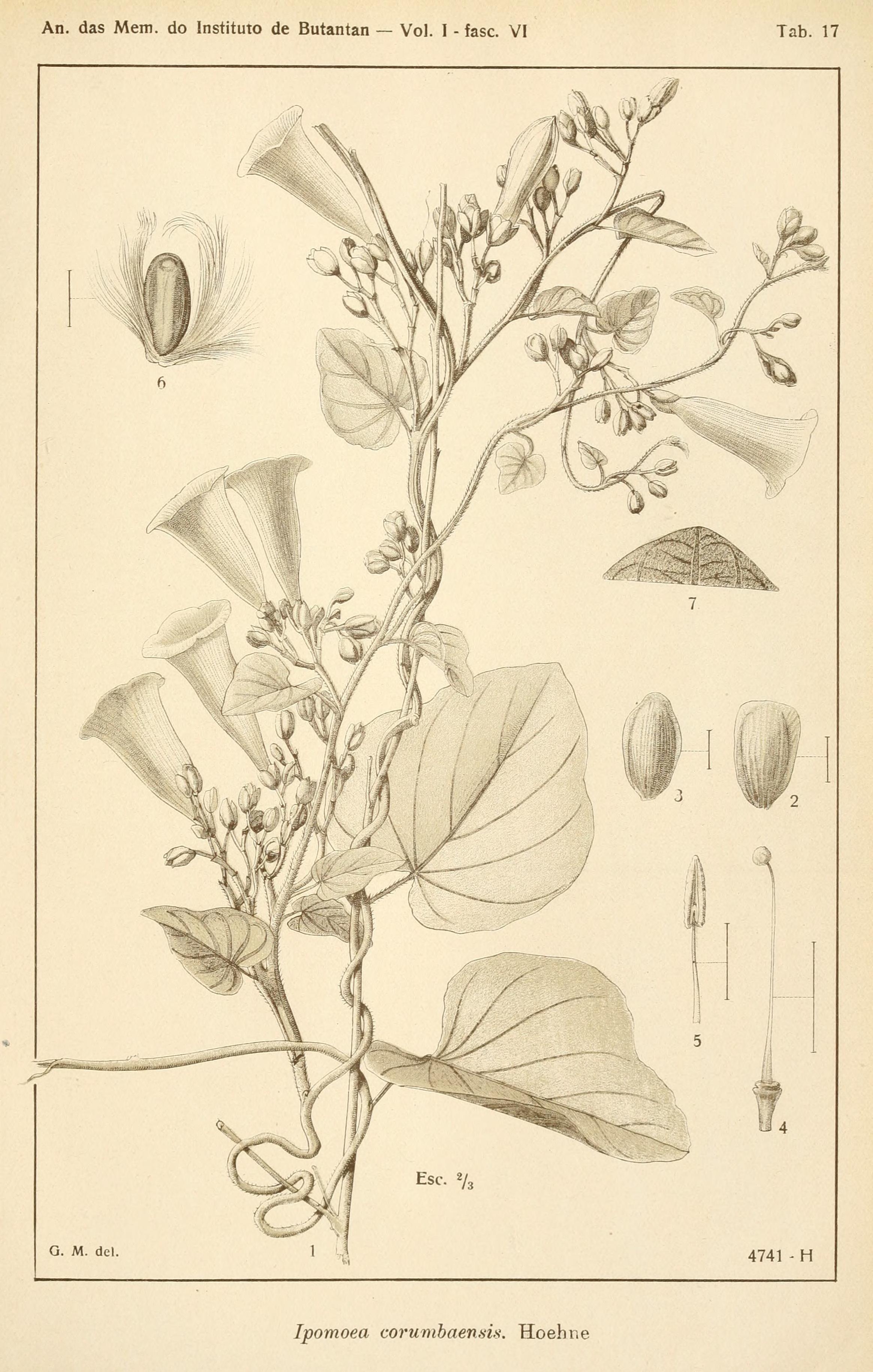 no full size  illustration available (3a)