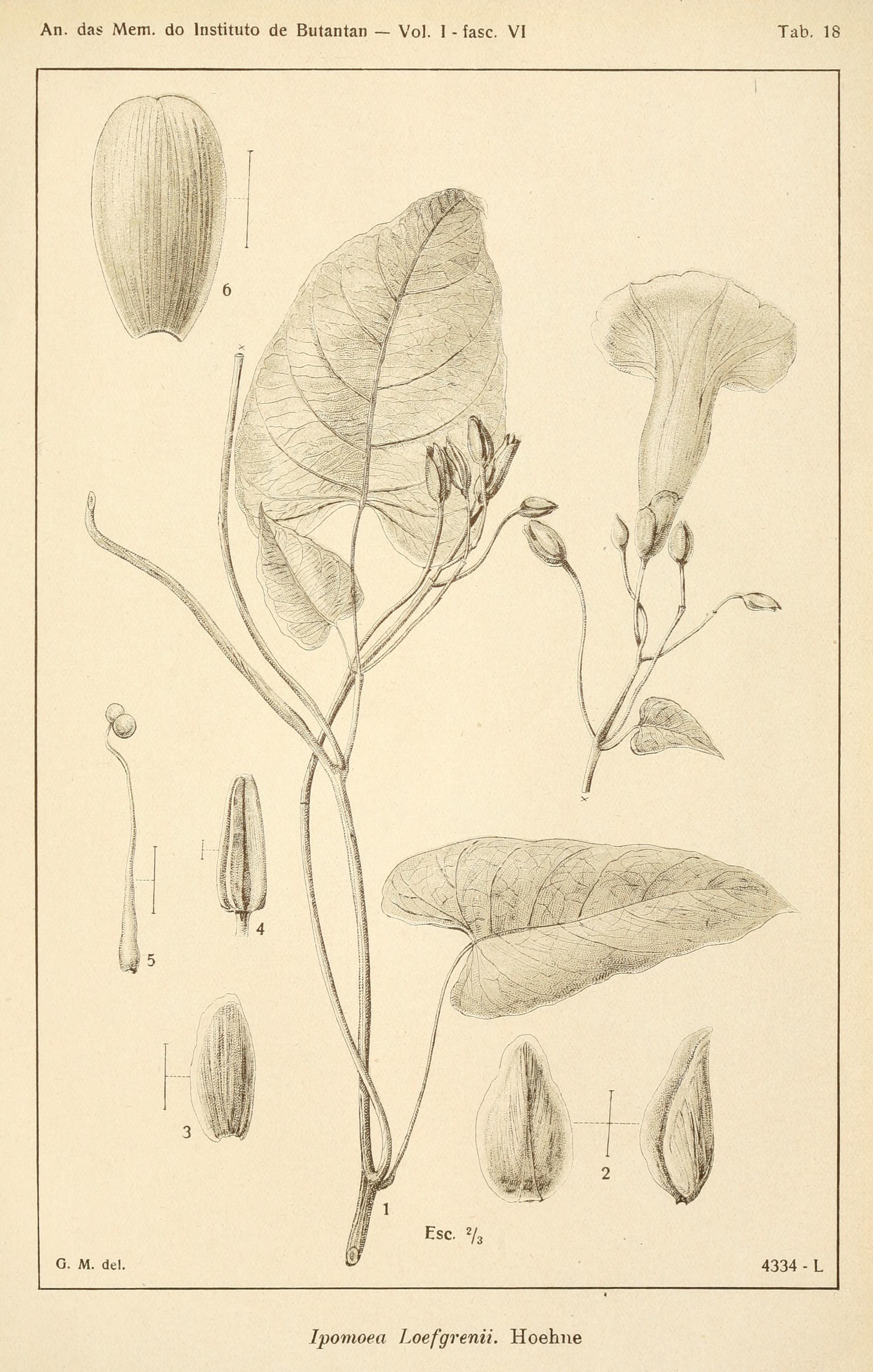 no full size  illustration available (3a)