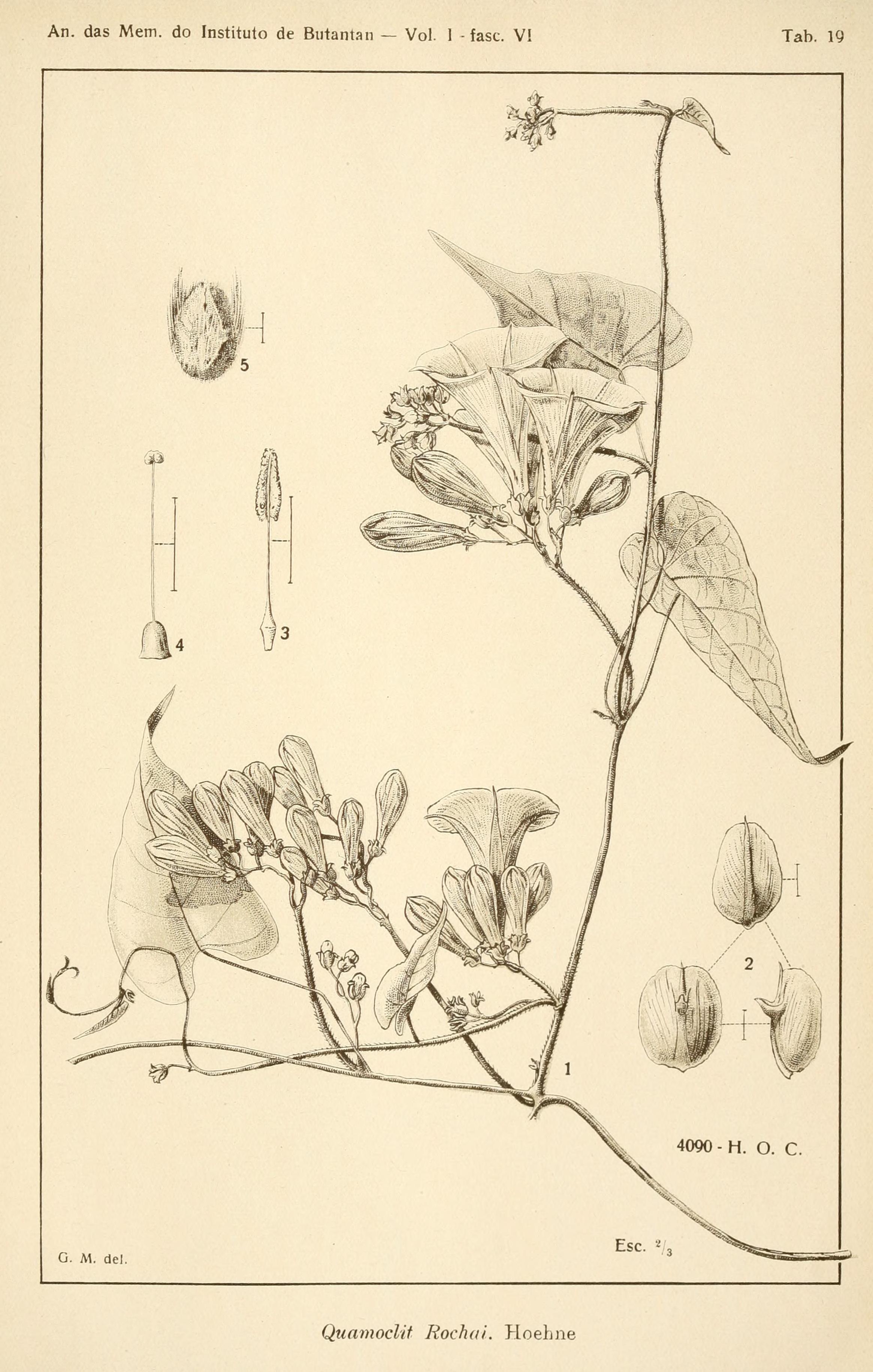 no full size  illustration available (3a)