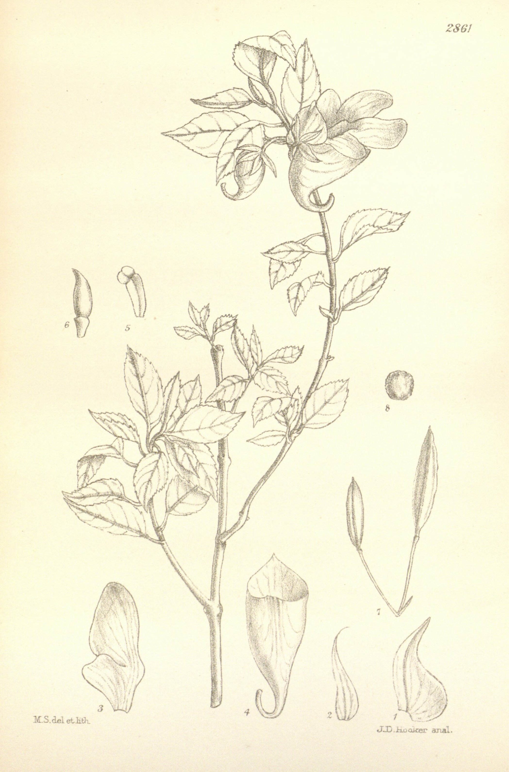 no full size  illustration available (3a)