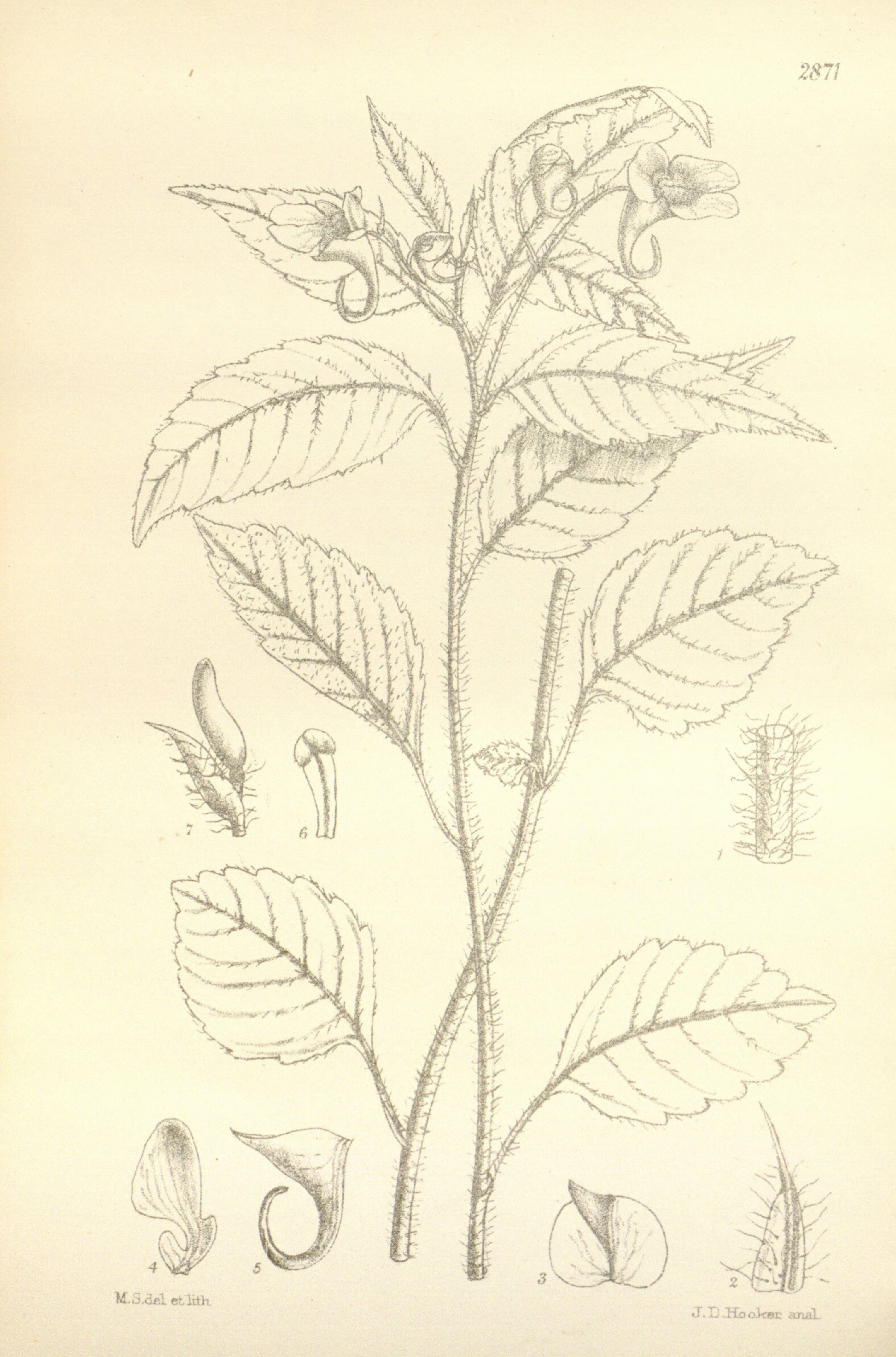 no full size  illustration available (3a)