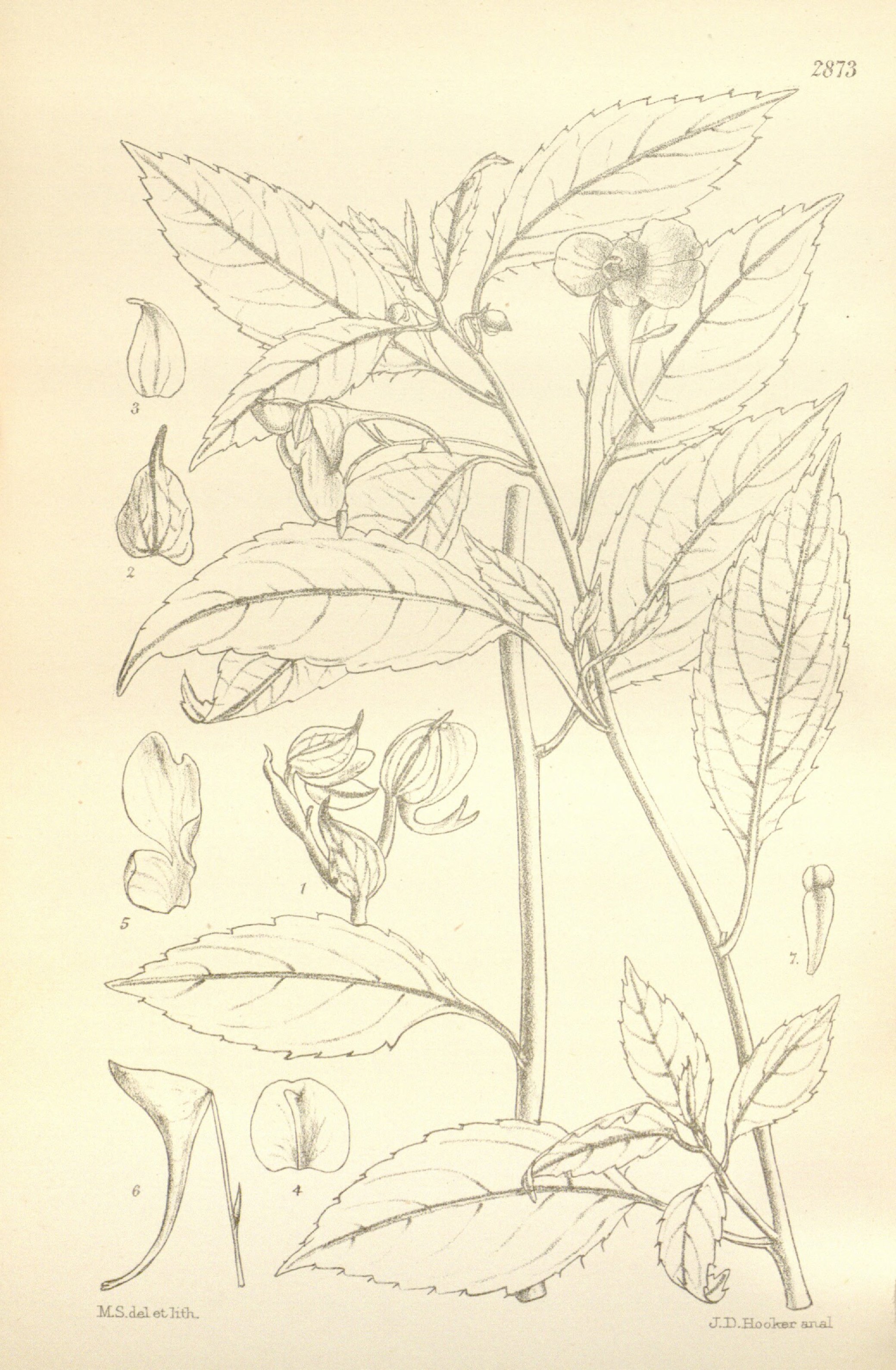 no full size  illustration available (3a)