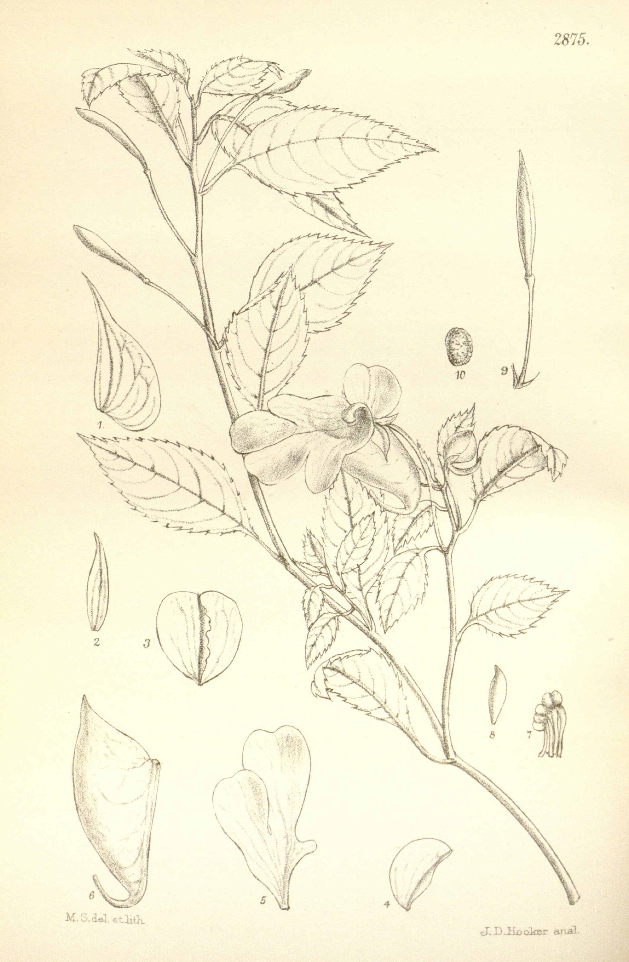 no full size  illustration available (3a)