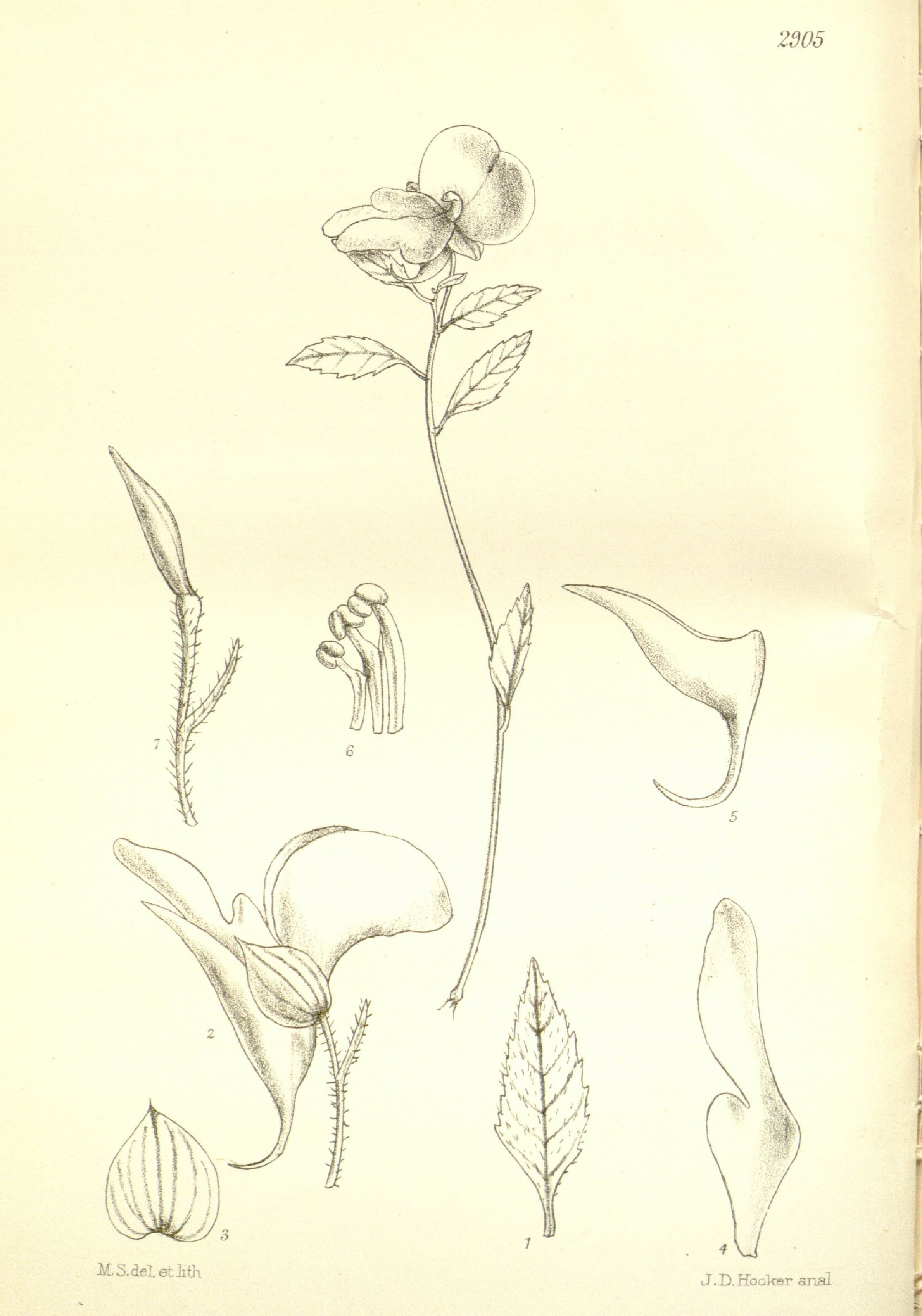 no full size  illustration available (3a)