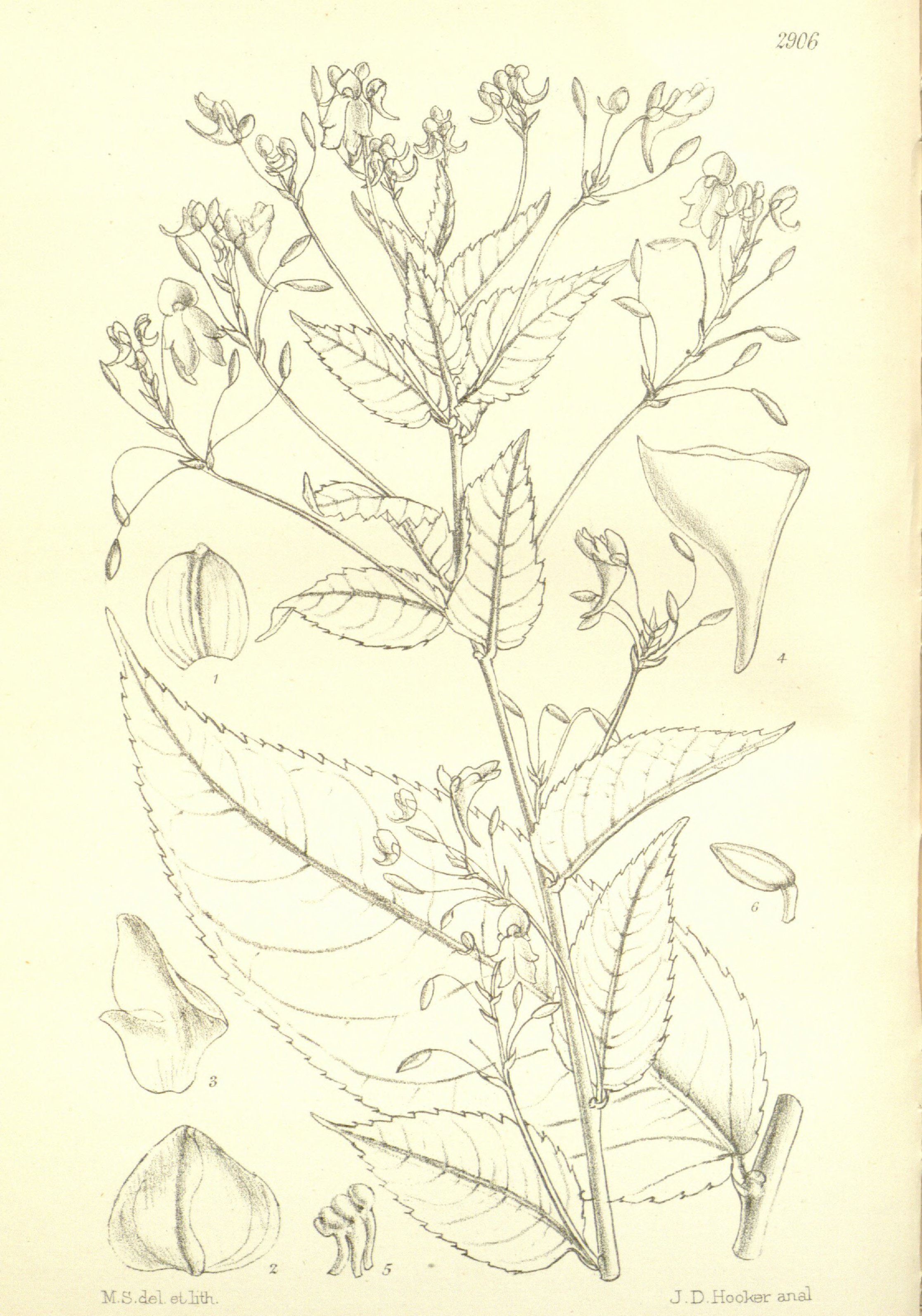 no full size  illustration available (3a)