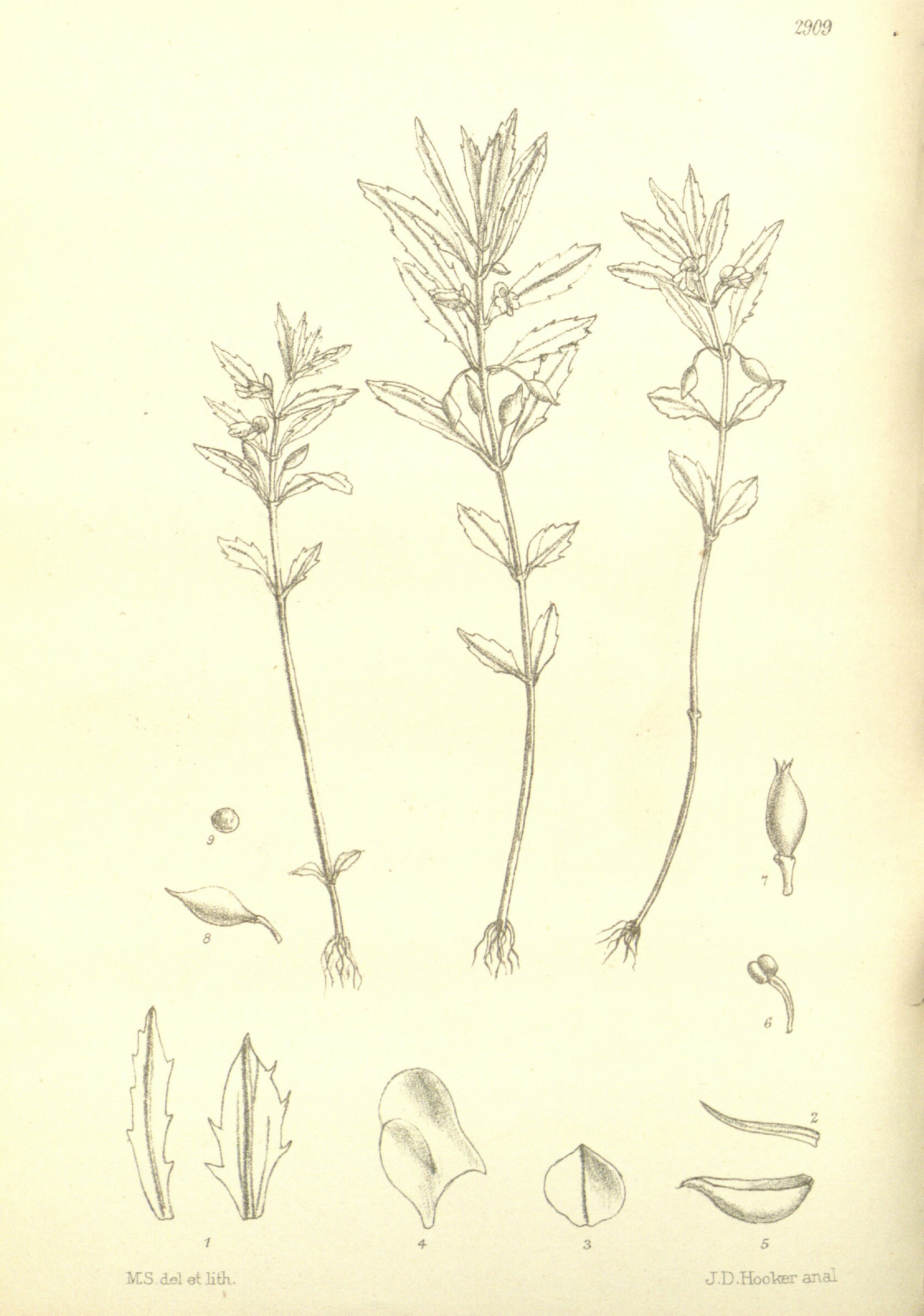 no full size  illustration available (3a)