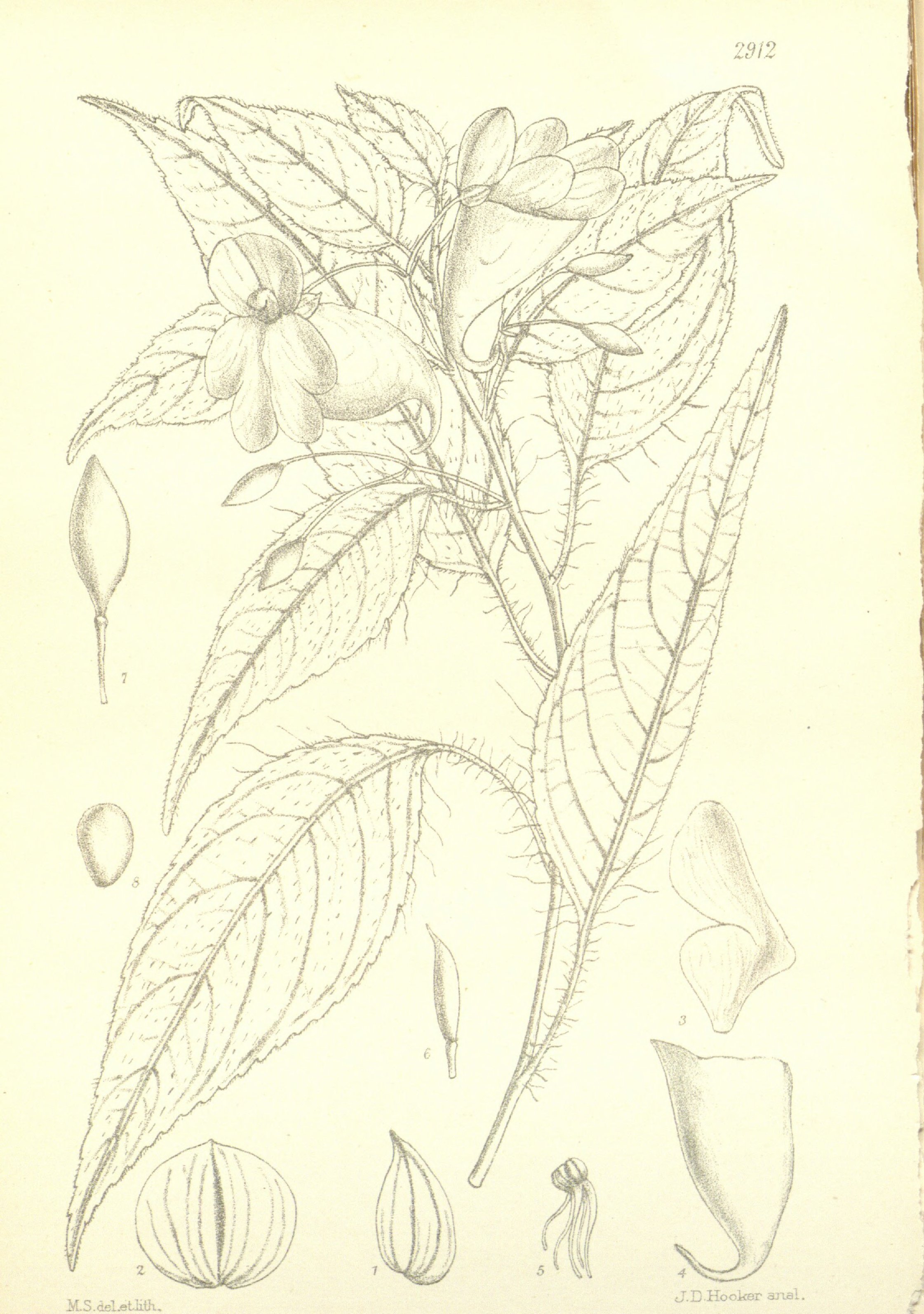 no full size  illustration available (3a)