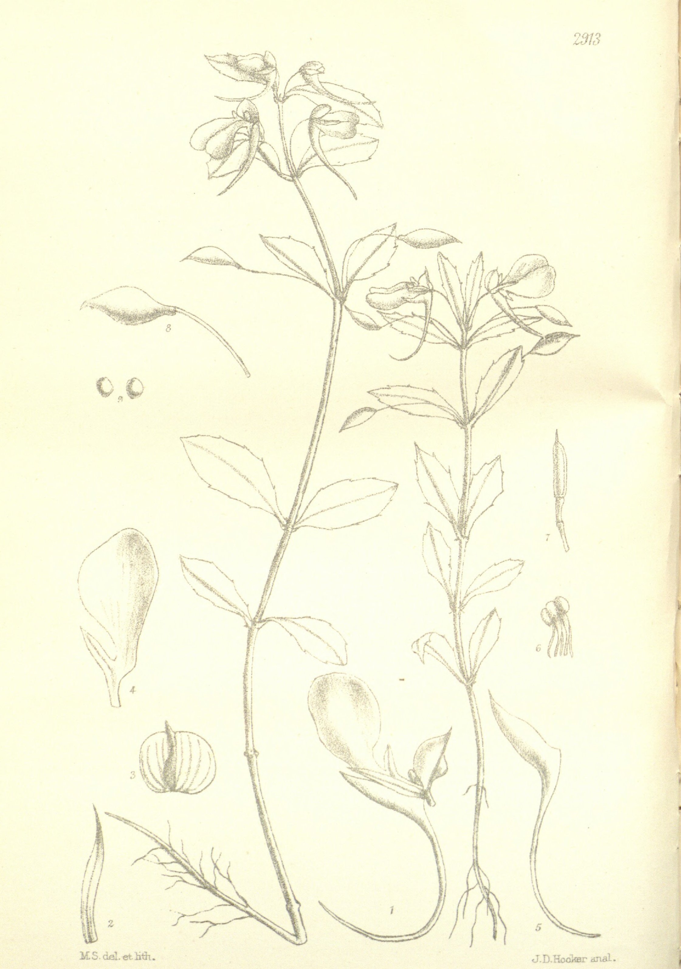 no full size  illustration available (3a)