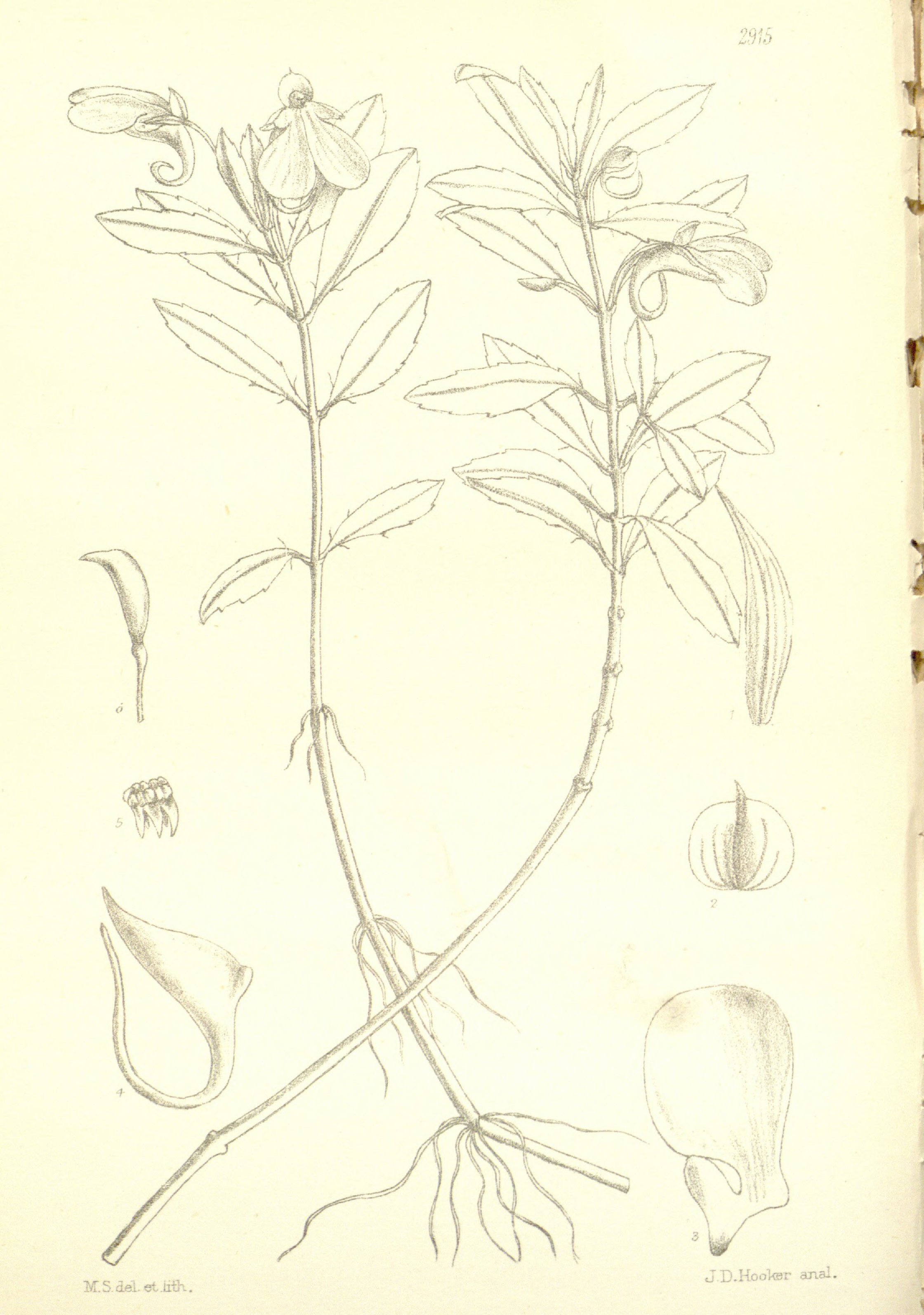 no full size  illustration available (3a)