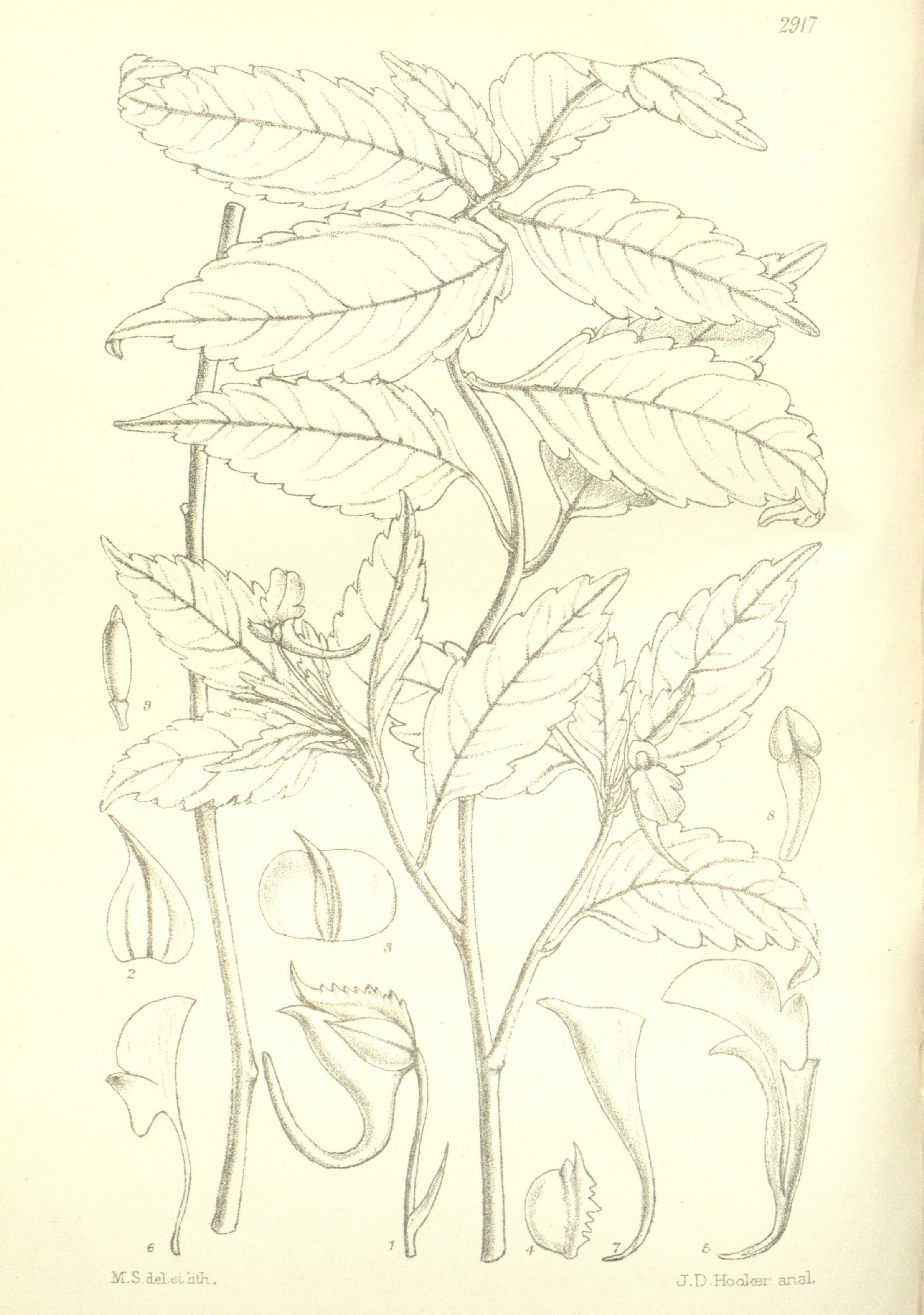 no full size  illustration available (3a)