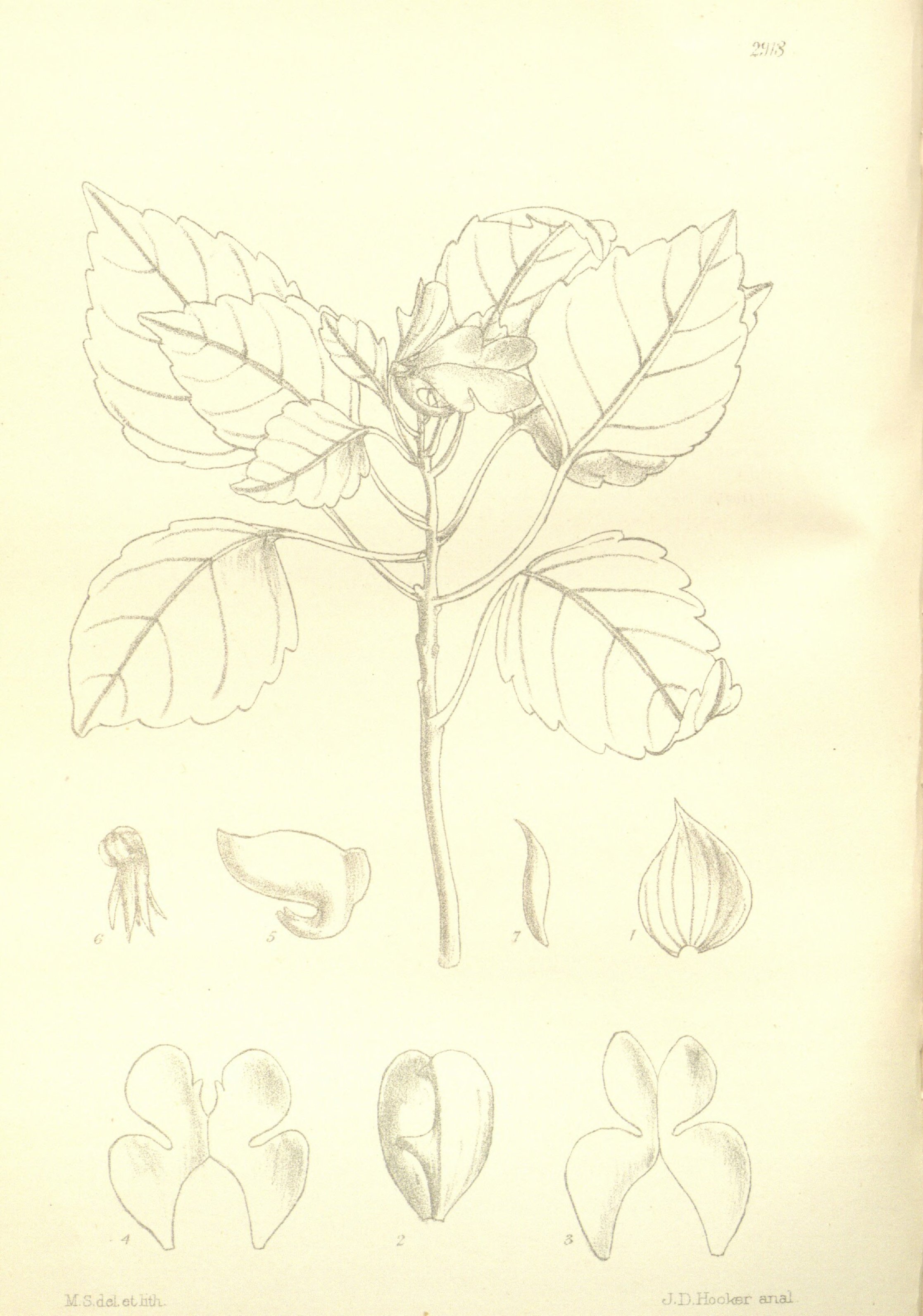 no full size  illustration available (3a)