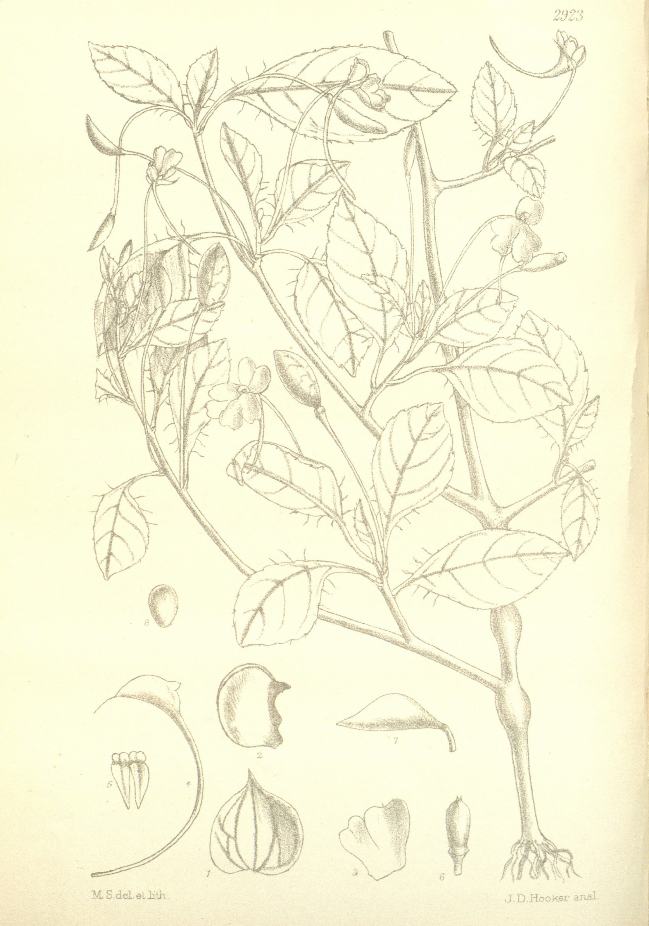 no full size  illustration available (3a)