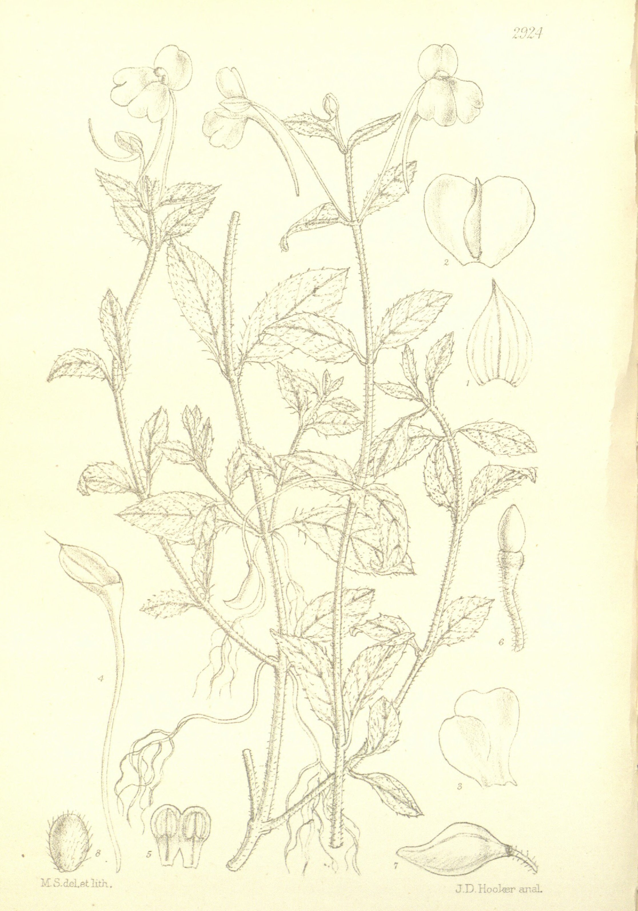 no full size  illustration available (3a)