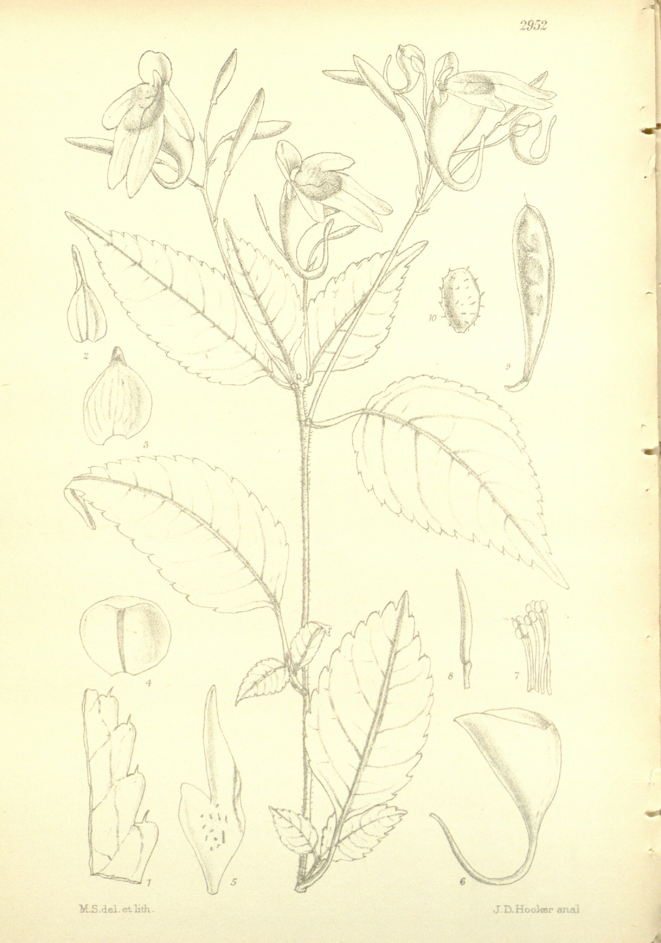 no full size  illustration available (3a)