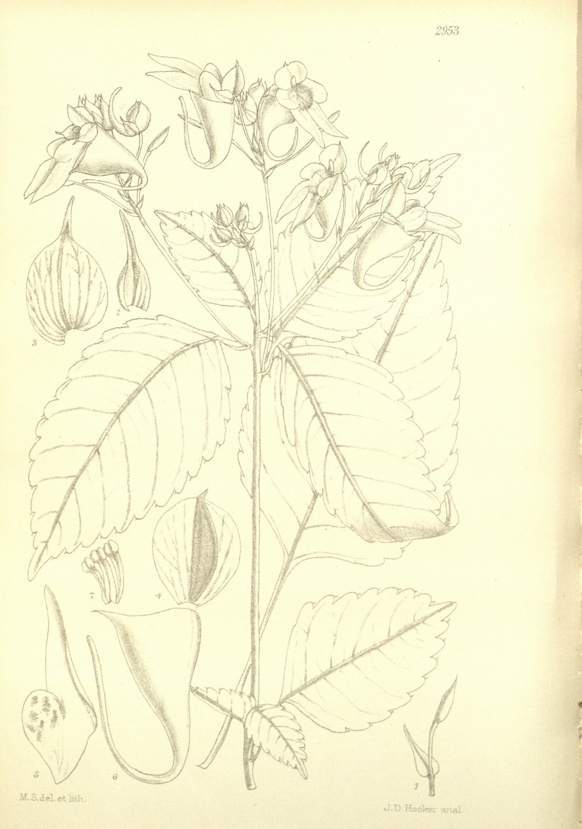 no full size  illustration available (3a)