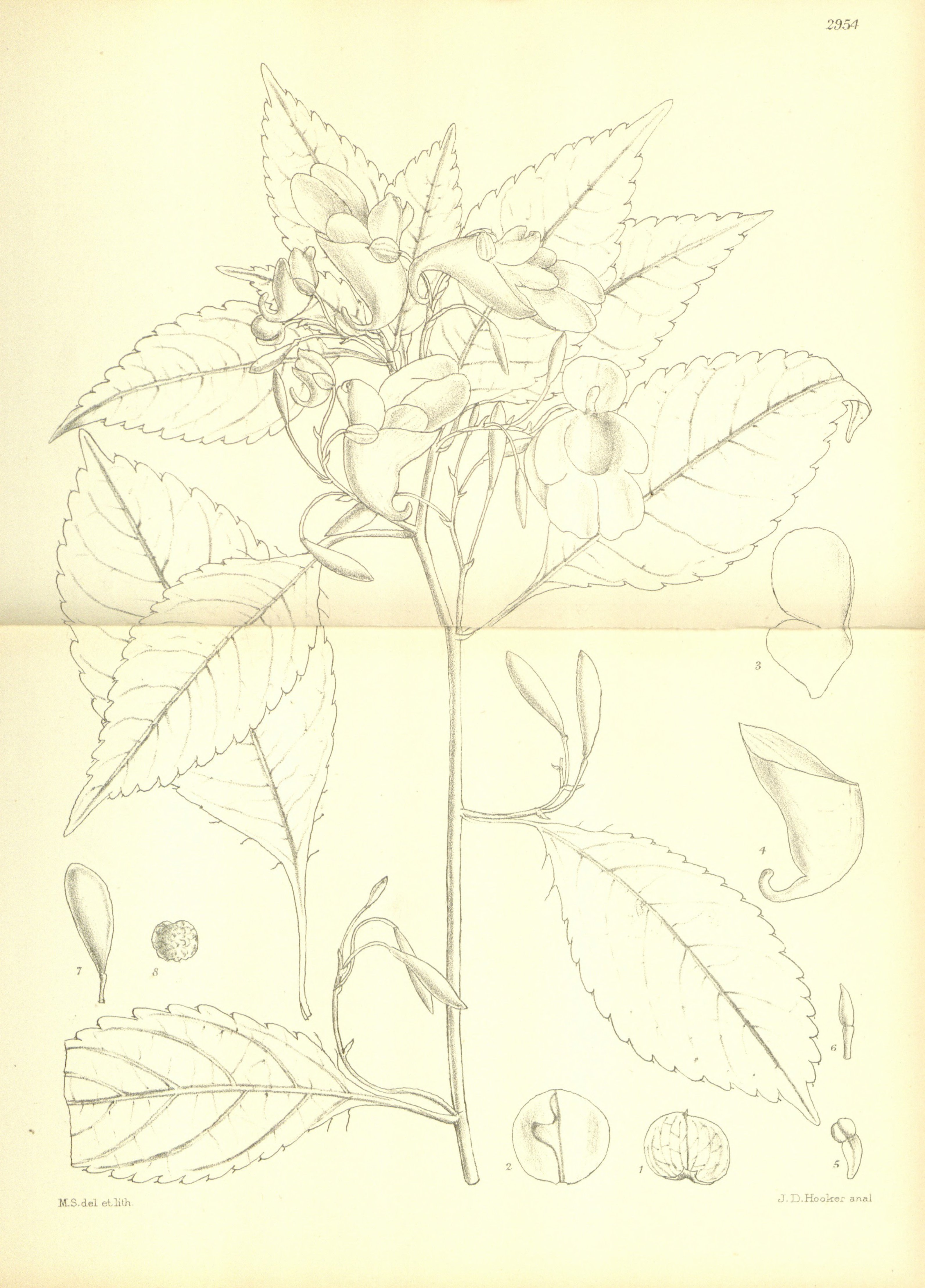 no full size  illustration available (3a)