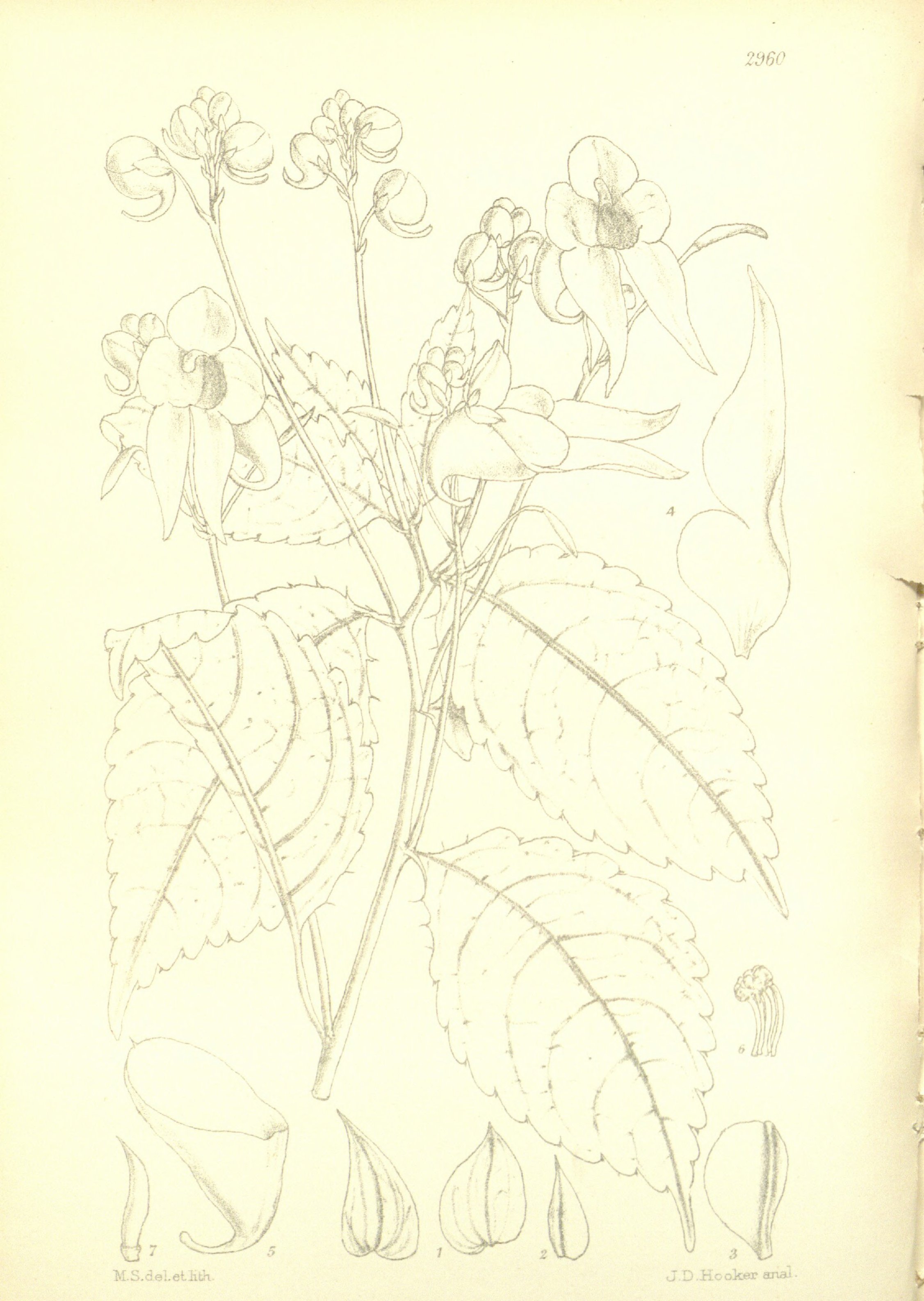 no full size  illustration available (3a)