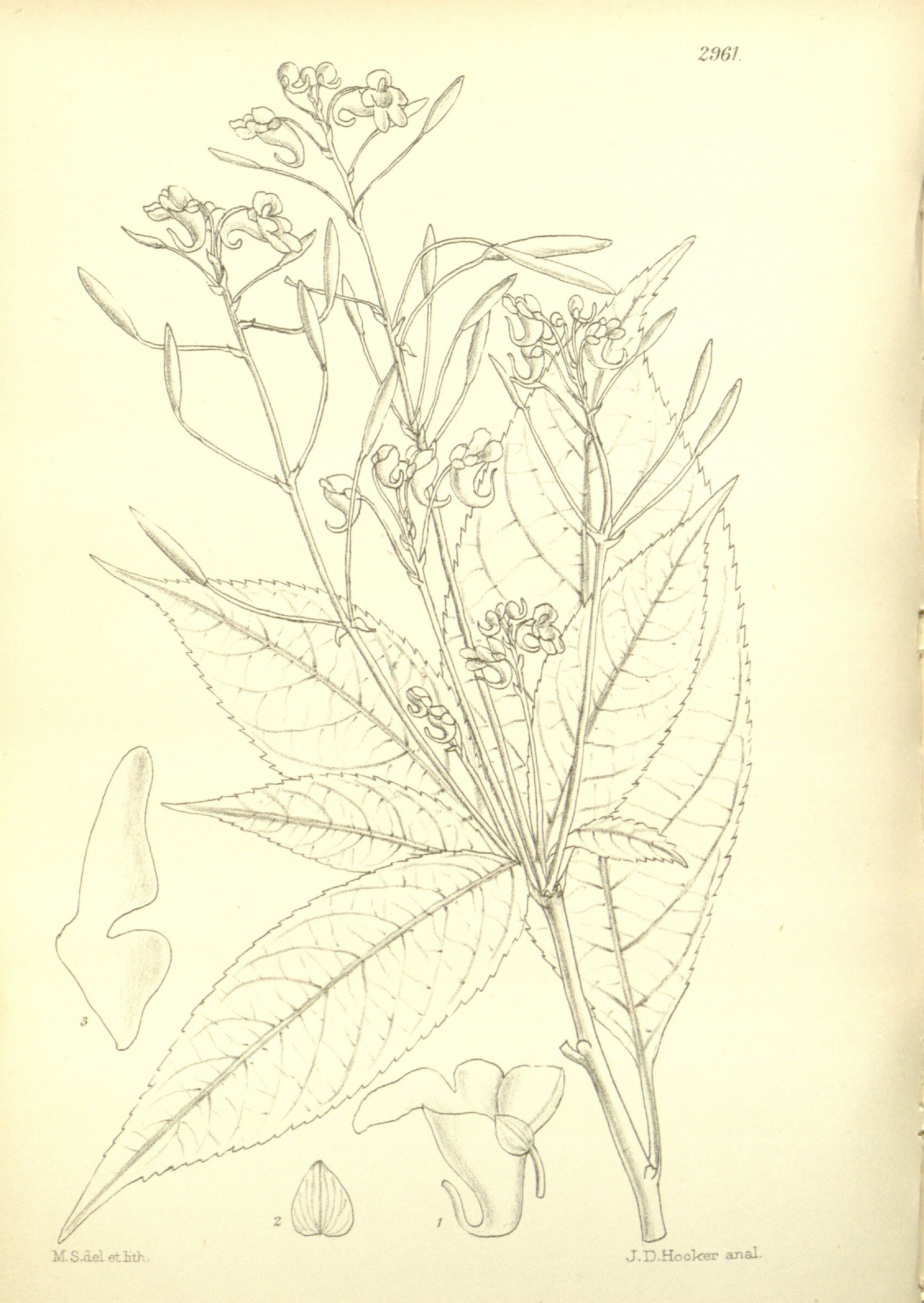 no full size  illustration available (3a)