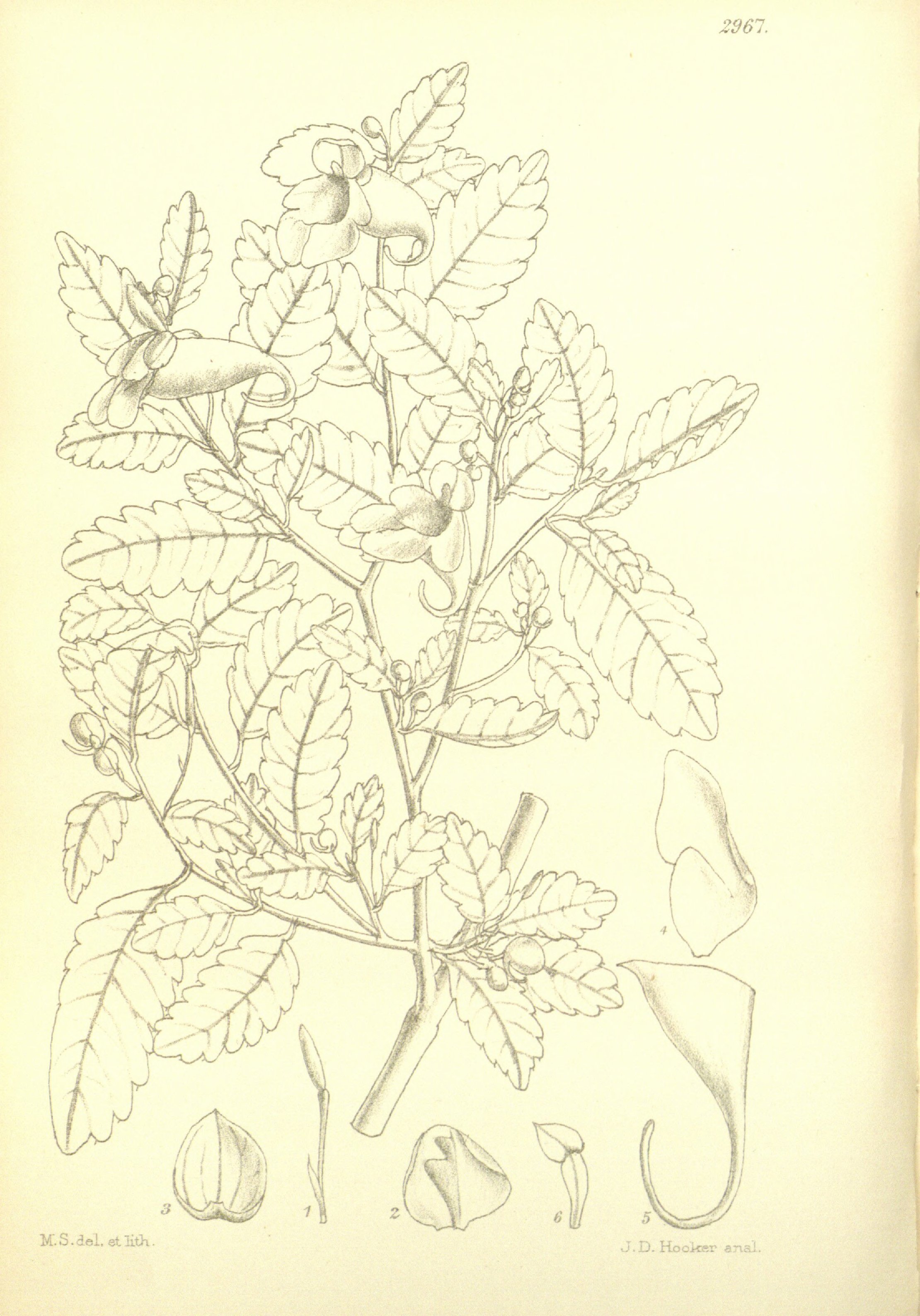 no full size  illustration available (3a)