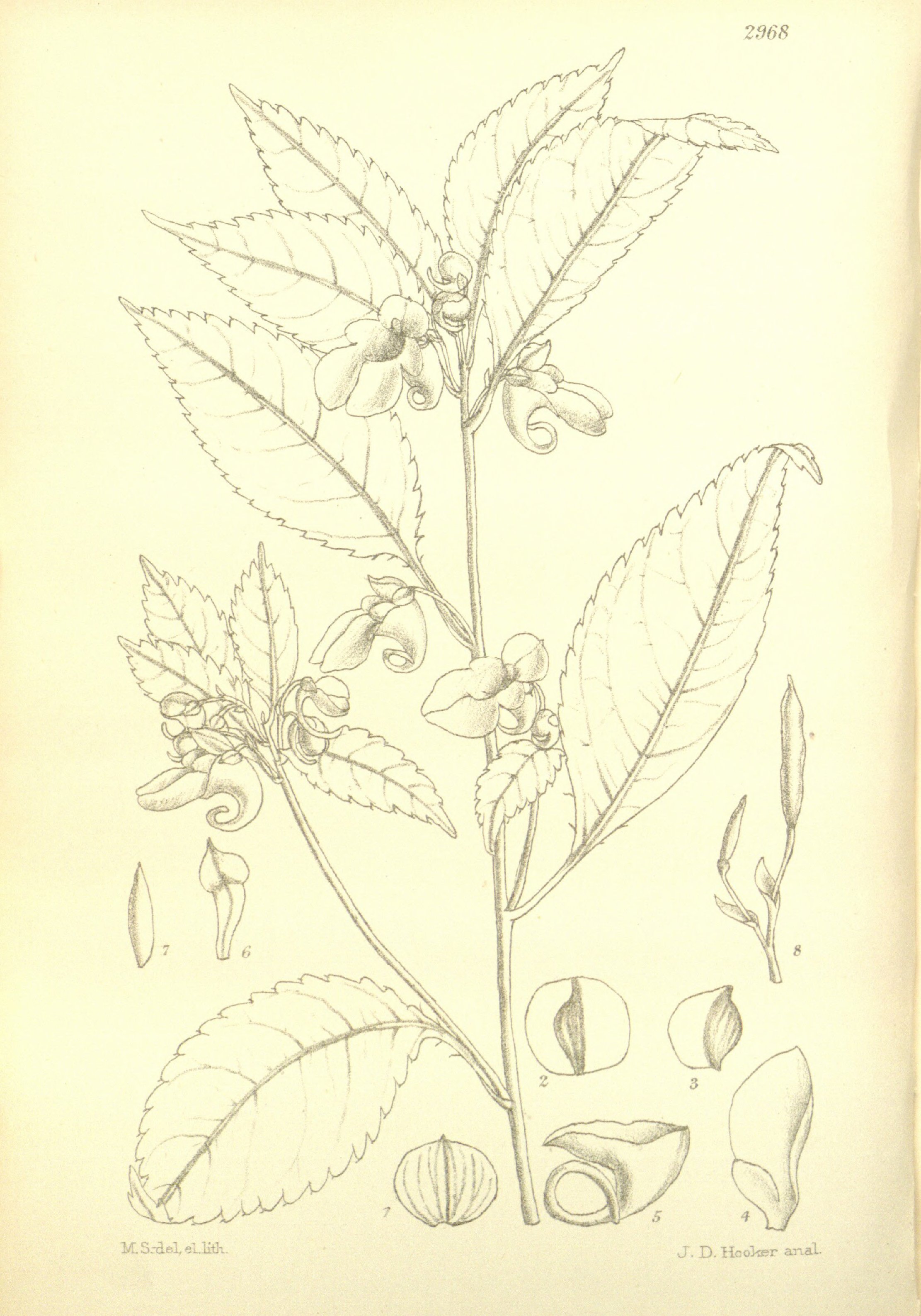 no full size  illustration available (3a)