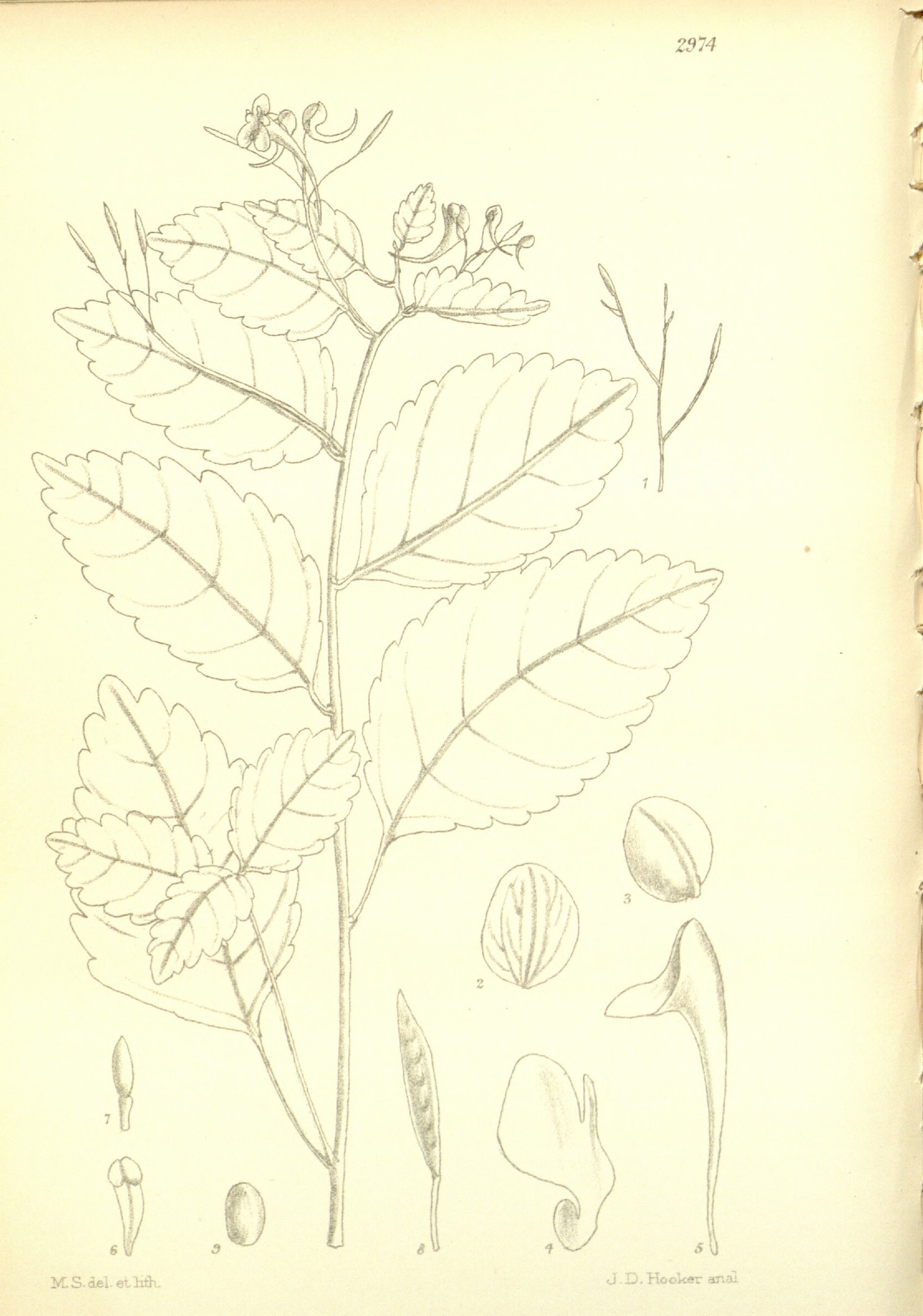 no full size  illustration available (3a)