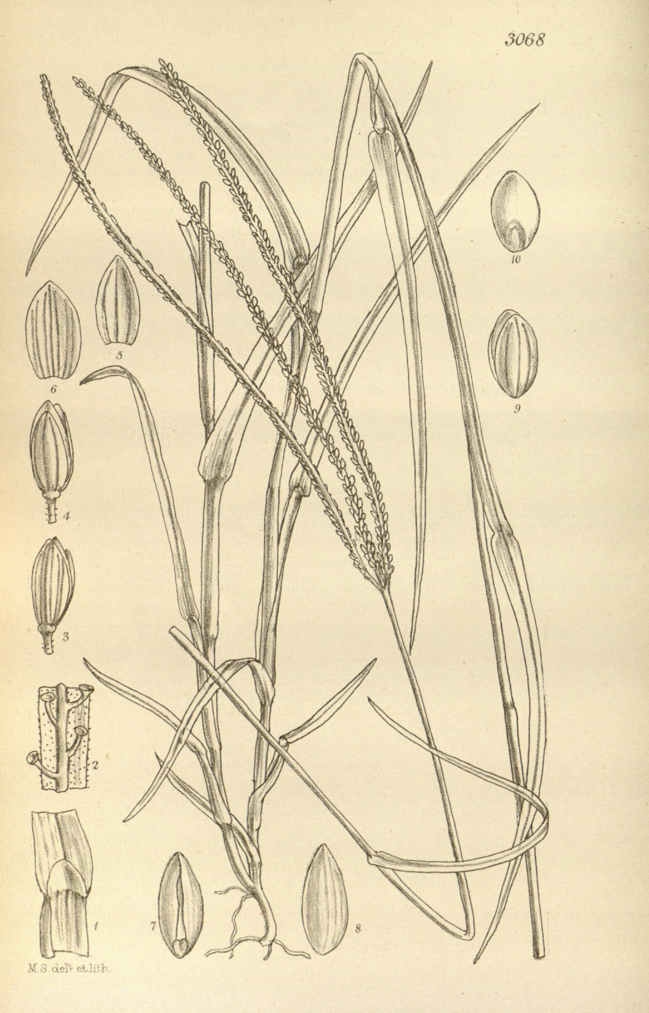 no full size  illustration available (3a)