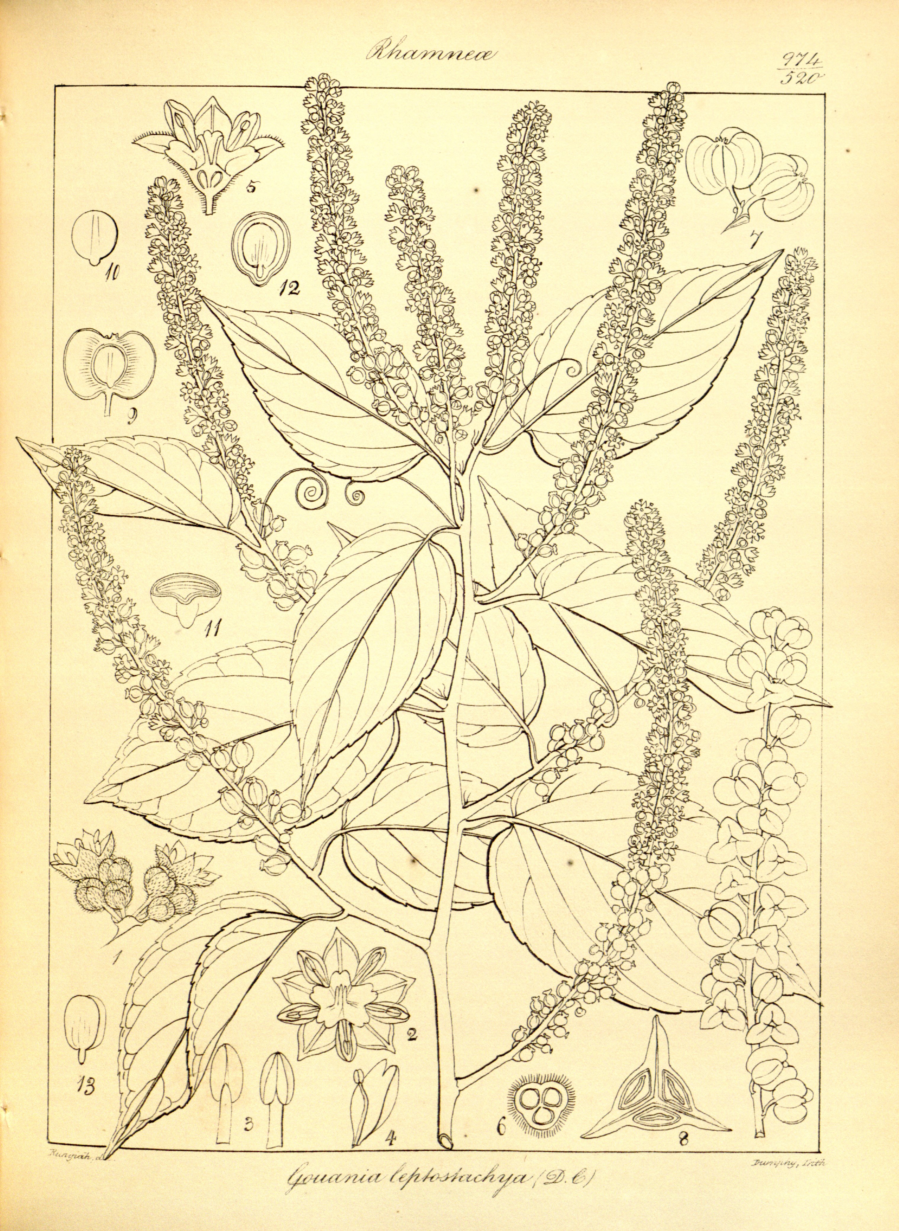 no full size  illustration available (3a)