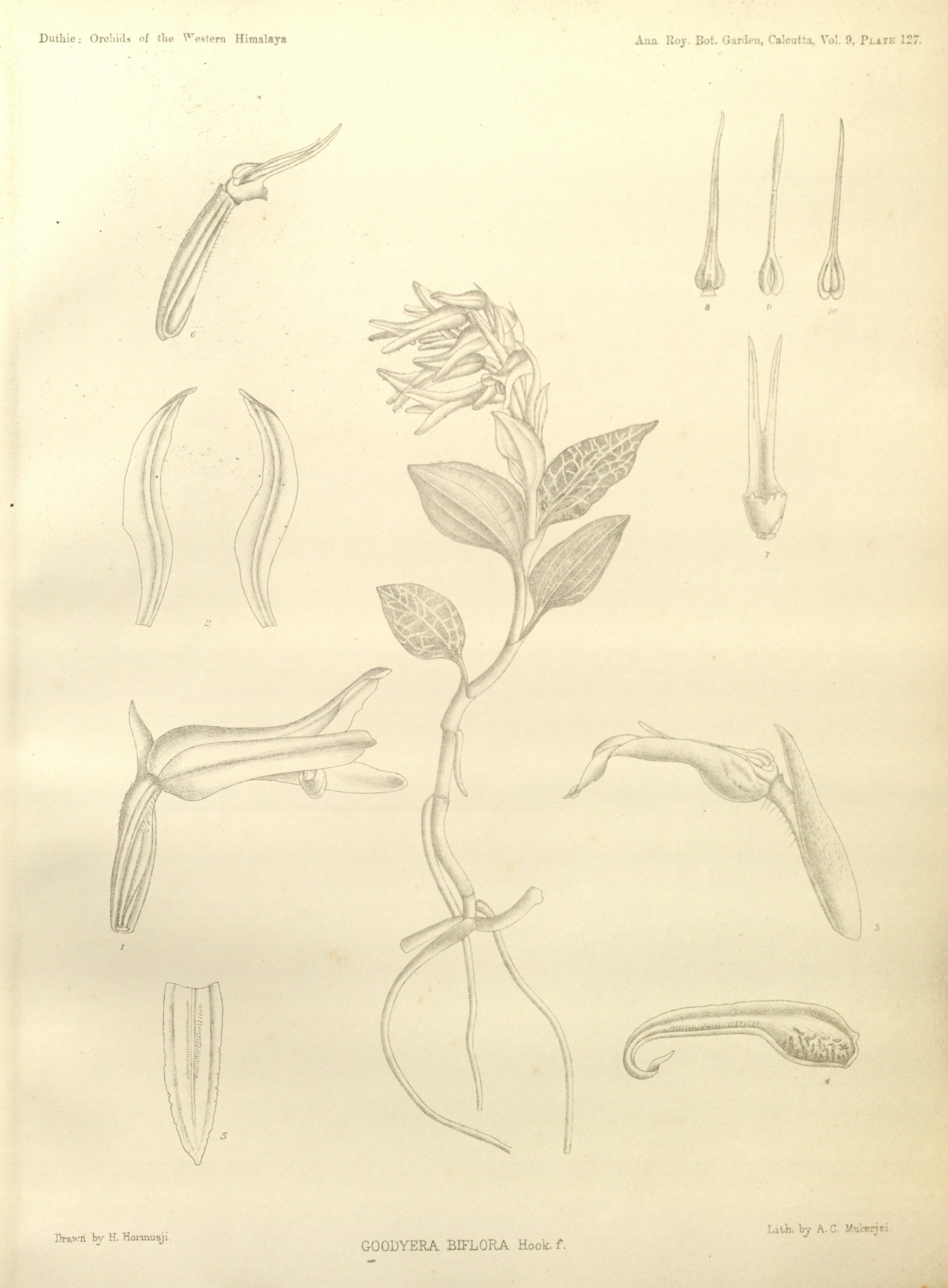 no full size  illustration available (3a)