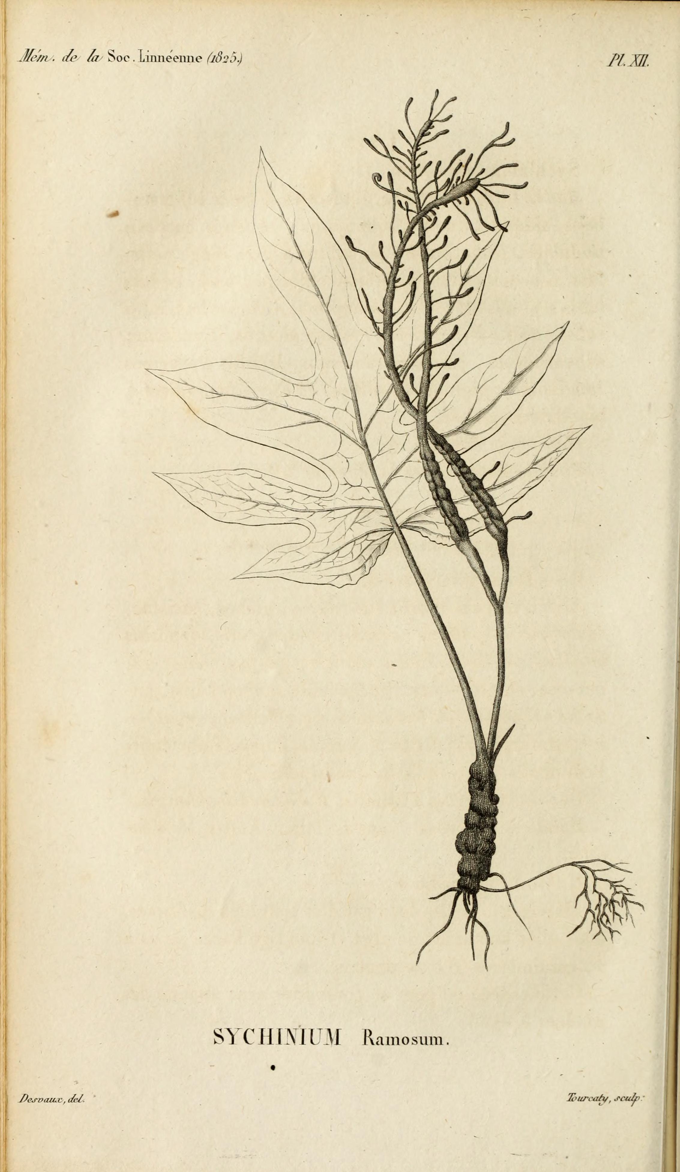 no full size  illustration available (3a)