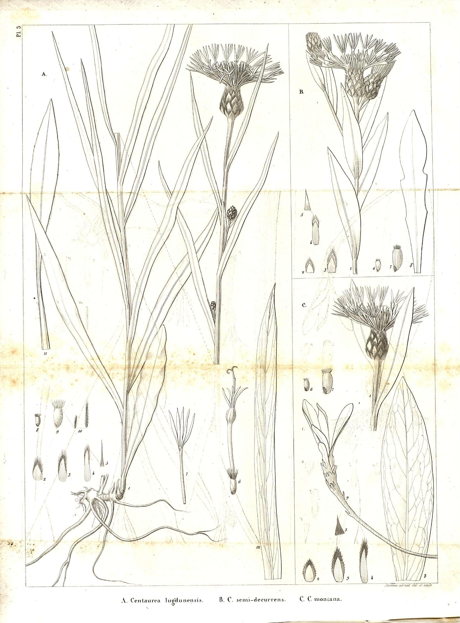 no full size  illustration available (3a)