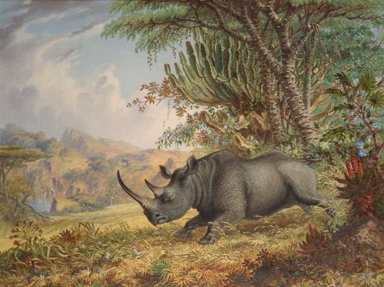 no full size  illustration available (3a)